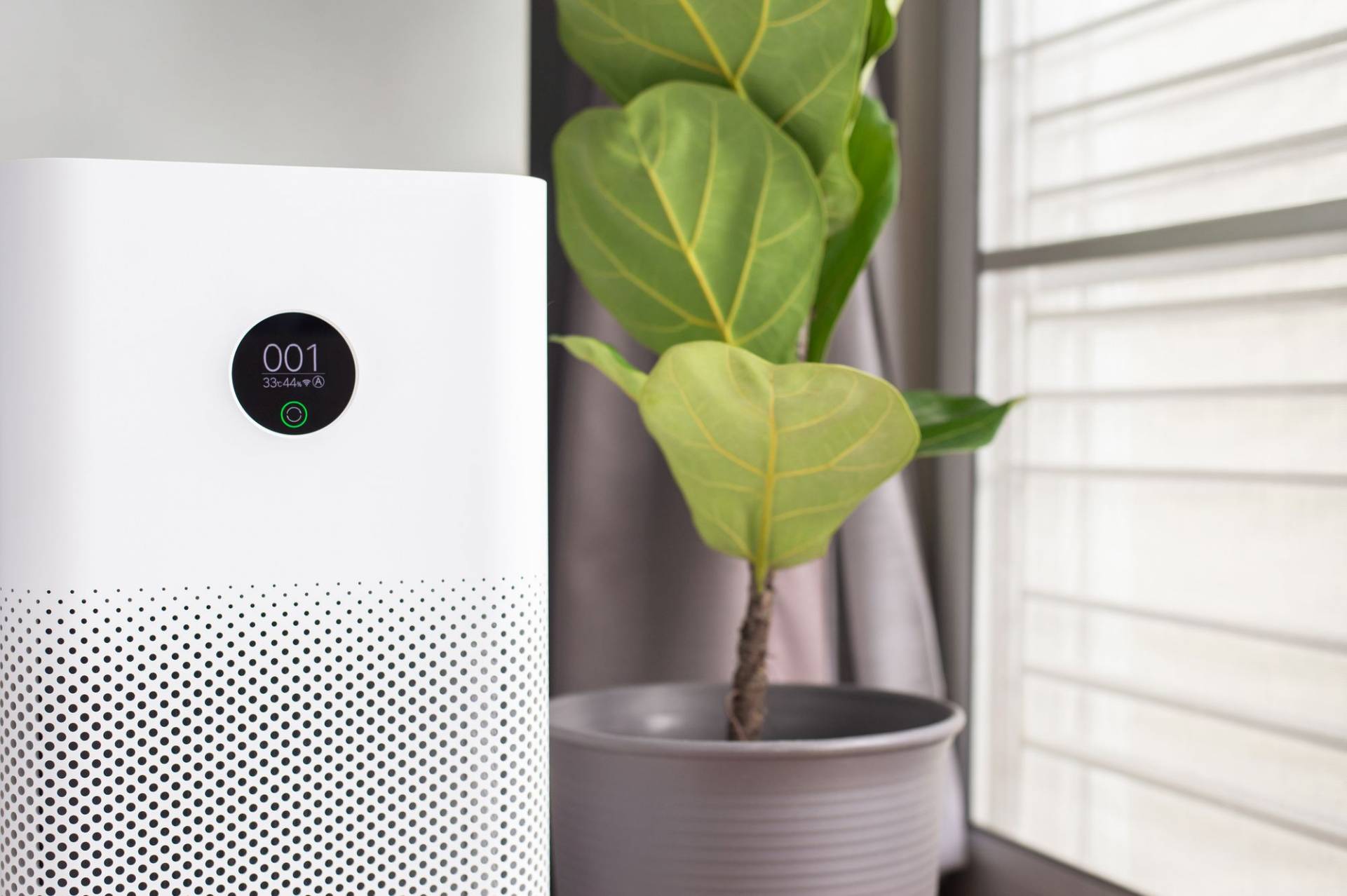 7 objets indispensables pour votre maison