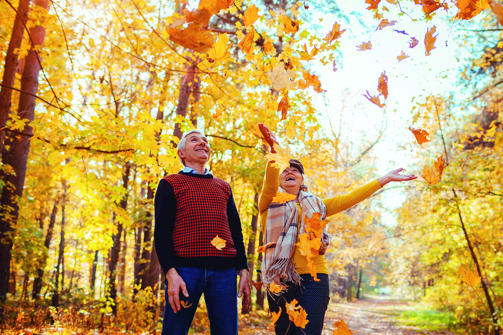 10 activités parfaites pour admirer les couleurs de l’automne