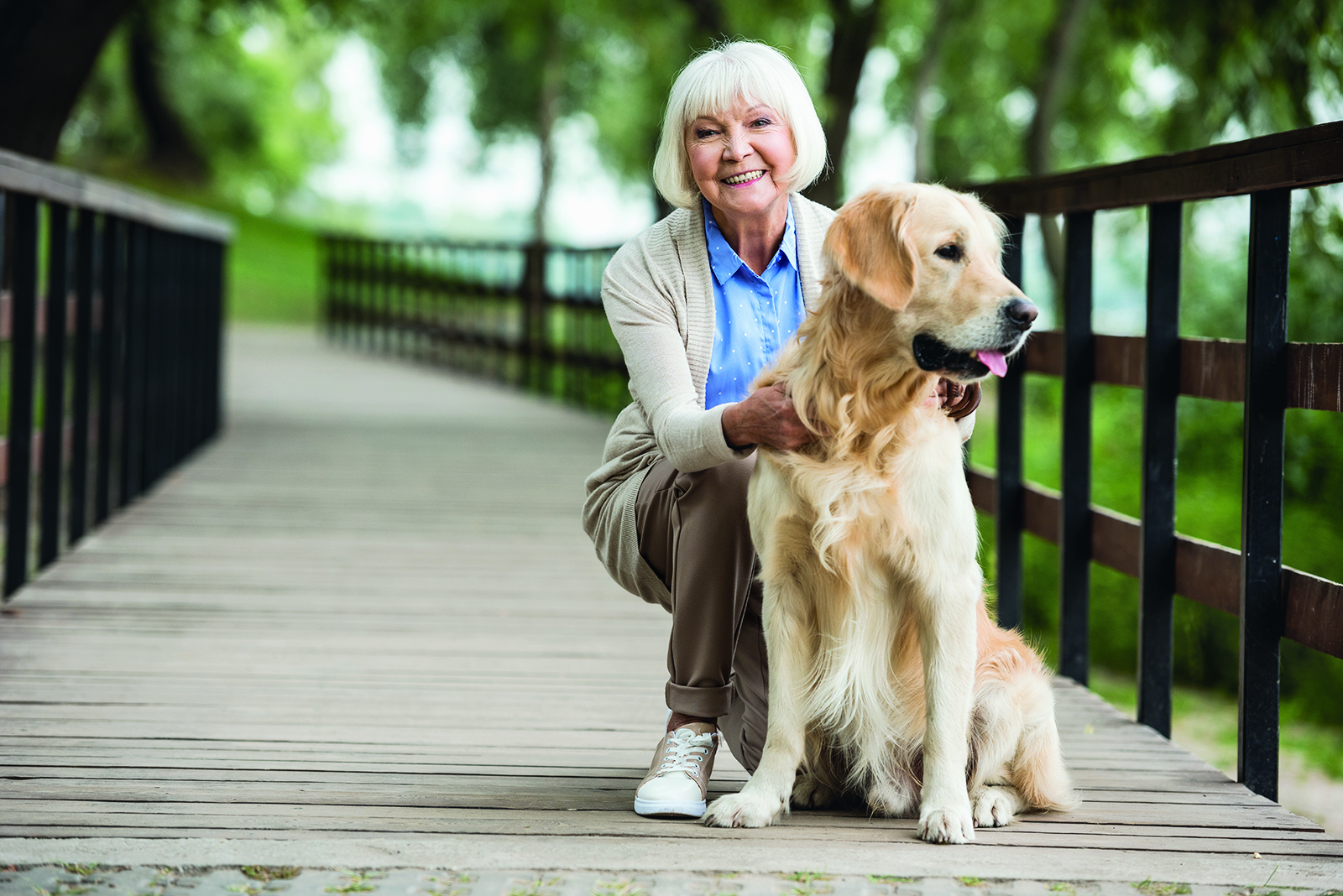 « Devrais-je adopter un animal de compagnie à la retraite? »