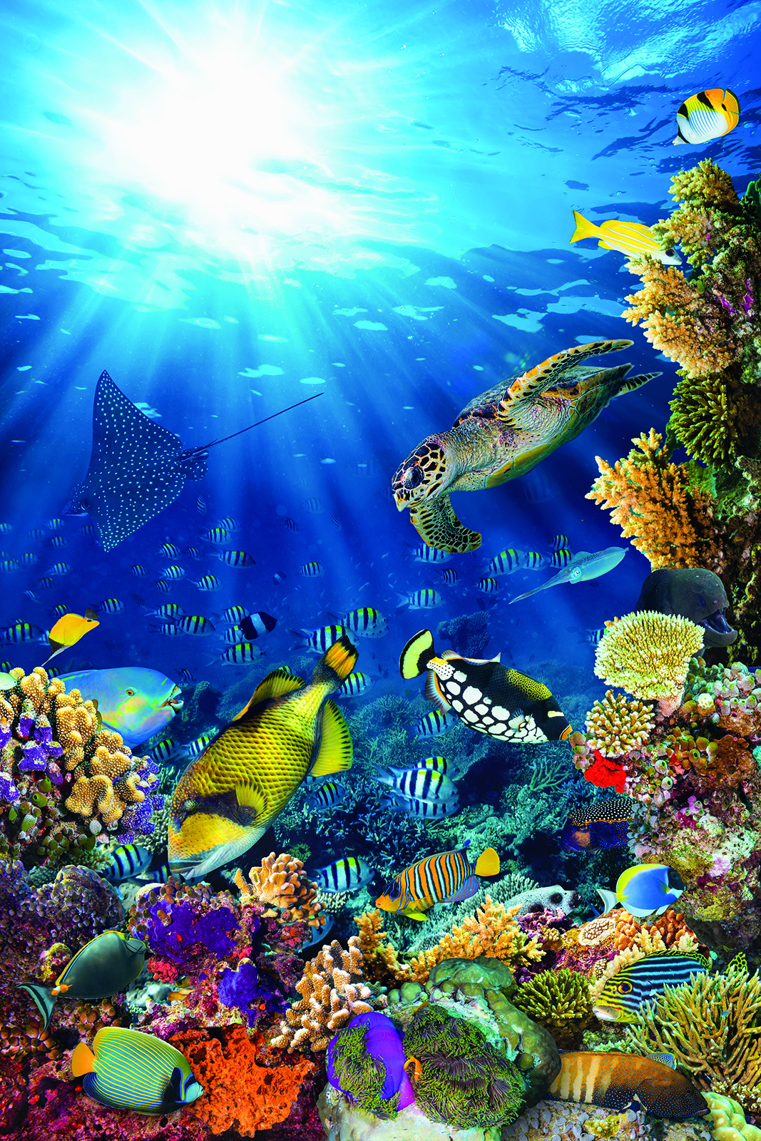 Teste tes connaissances sur le monde aquatique