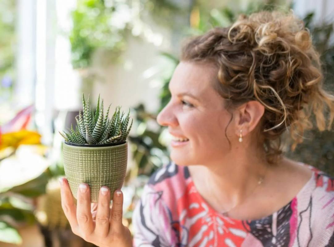 Des bébé plantes pour la néonatalogie