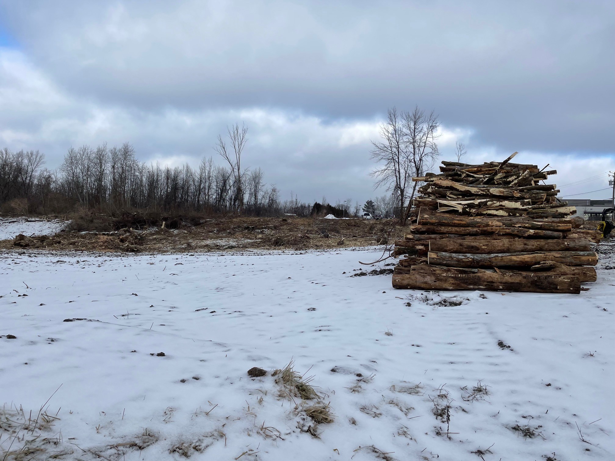 Un boisé de 500 arbres fera place à un projet immobilier à Delson