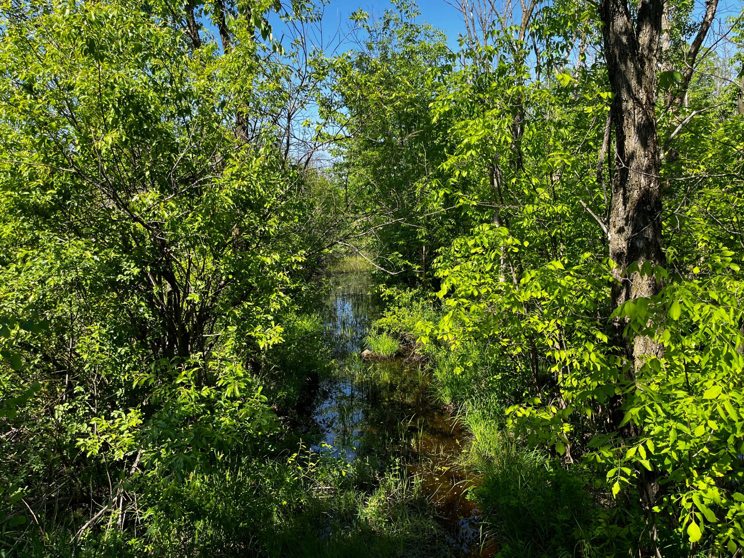OPINION. En ces temps troubles pour l&rsquo;environnement et la paix