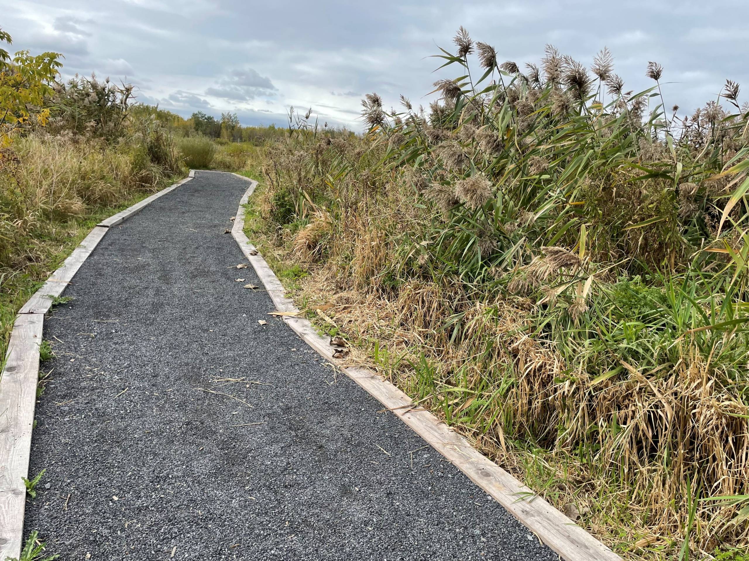 Boisé du Tremblay : un nouveau site de plein air est inauguré