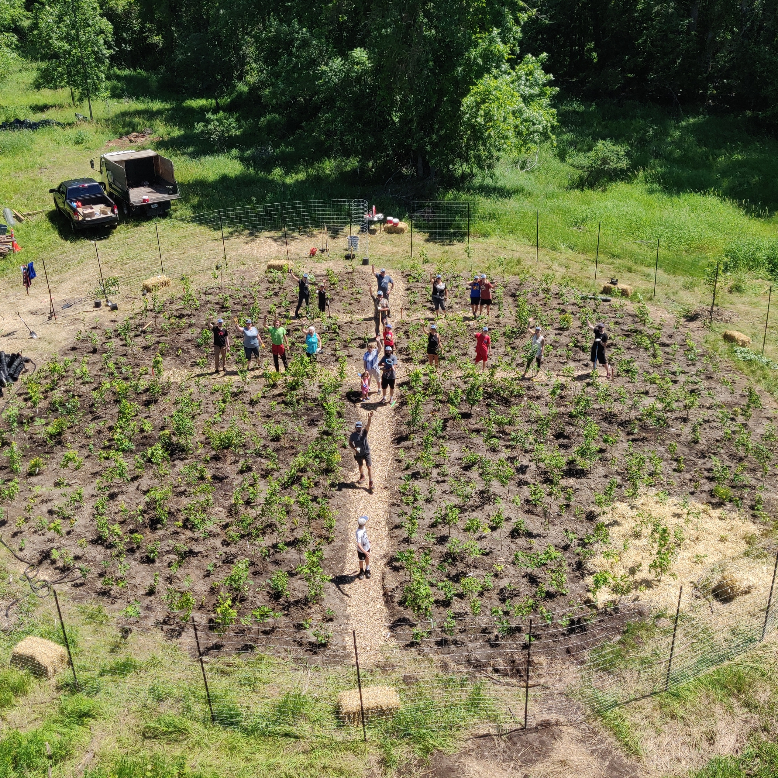 Une forêt en héritage