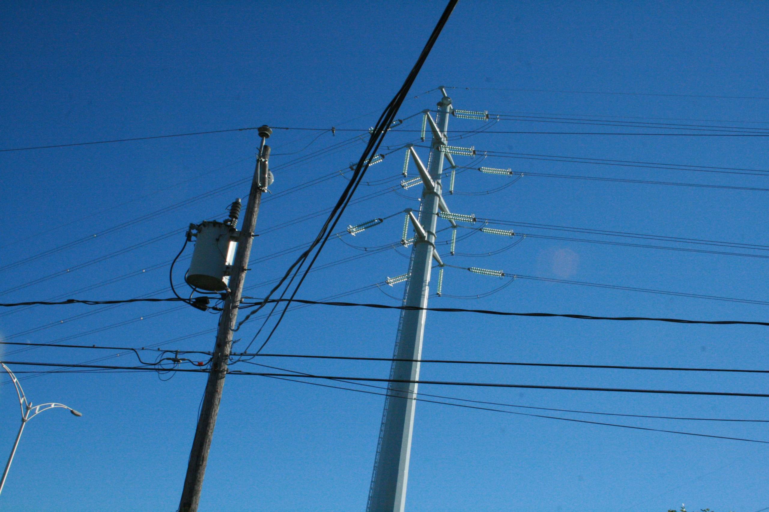 Panne dans les R à Brossard : un écureuil et une surcharge en cause