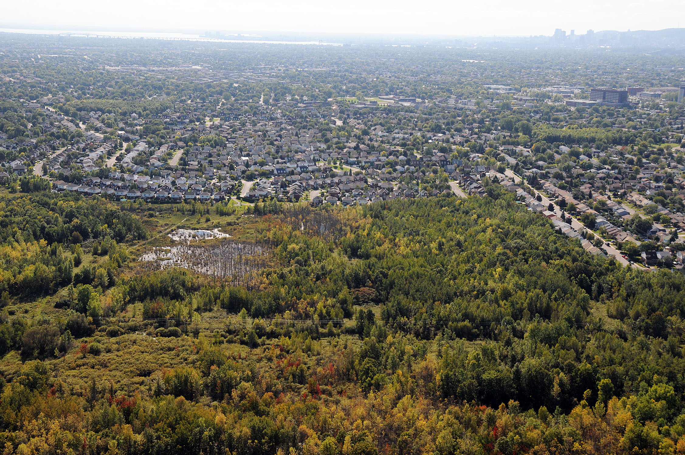 Une autre atteinte à la protection des milieux humides, déplore un organisme