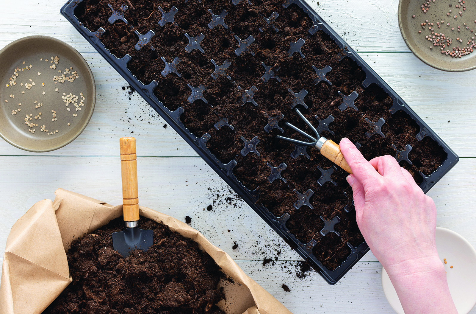 10 conseils pour réussir vos semis avec brio