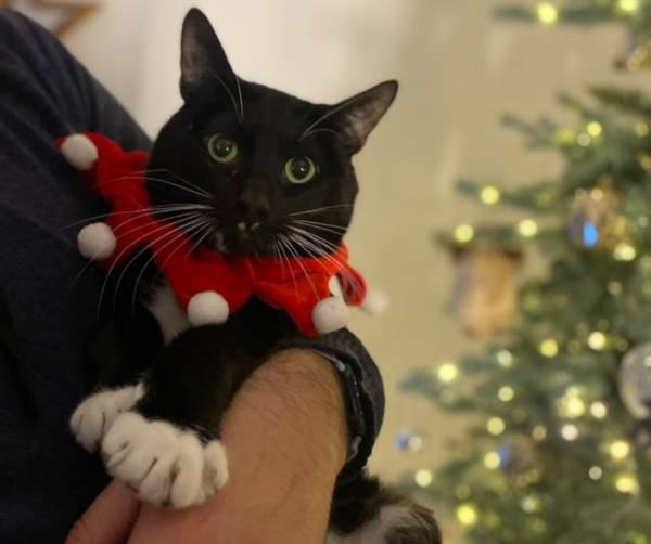 Damon, roi des câlins !