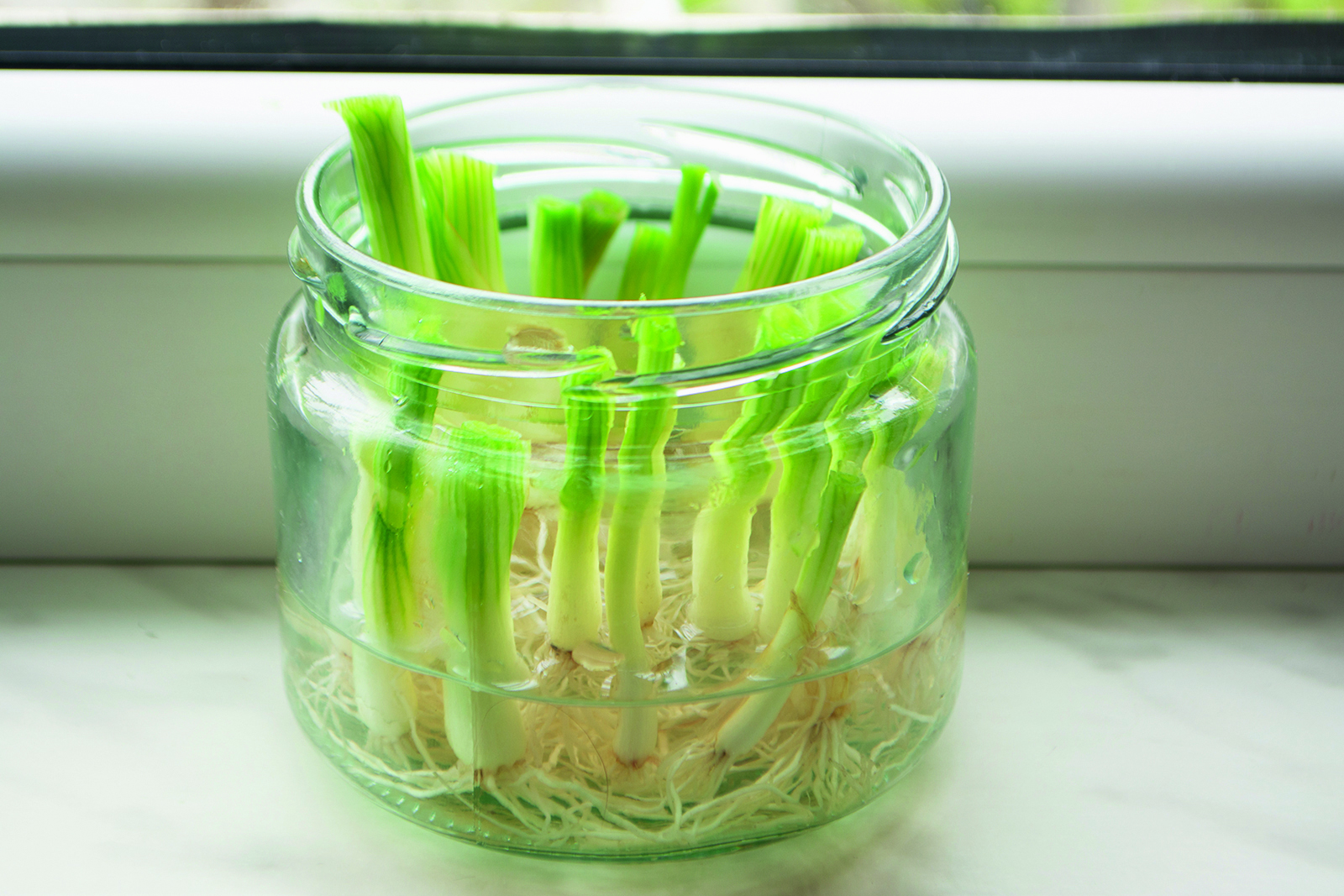 7 déchets de cuisine qui gagnent à être réutilisés