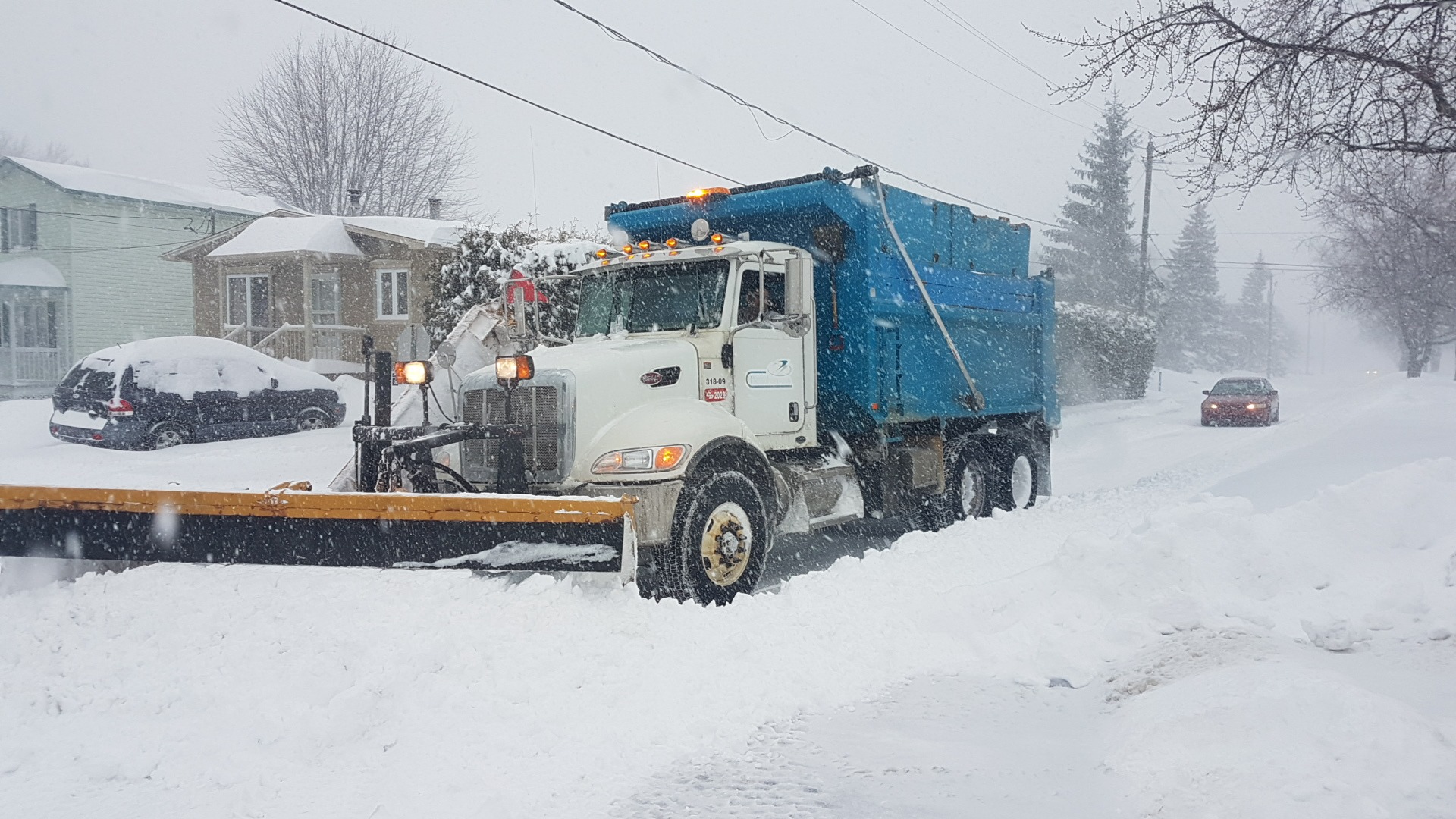 Première tempête majeure de l’année : 15 cm de neige sont attendus