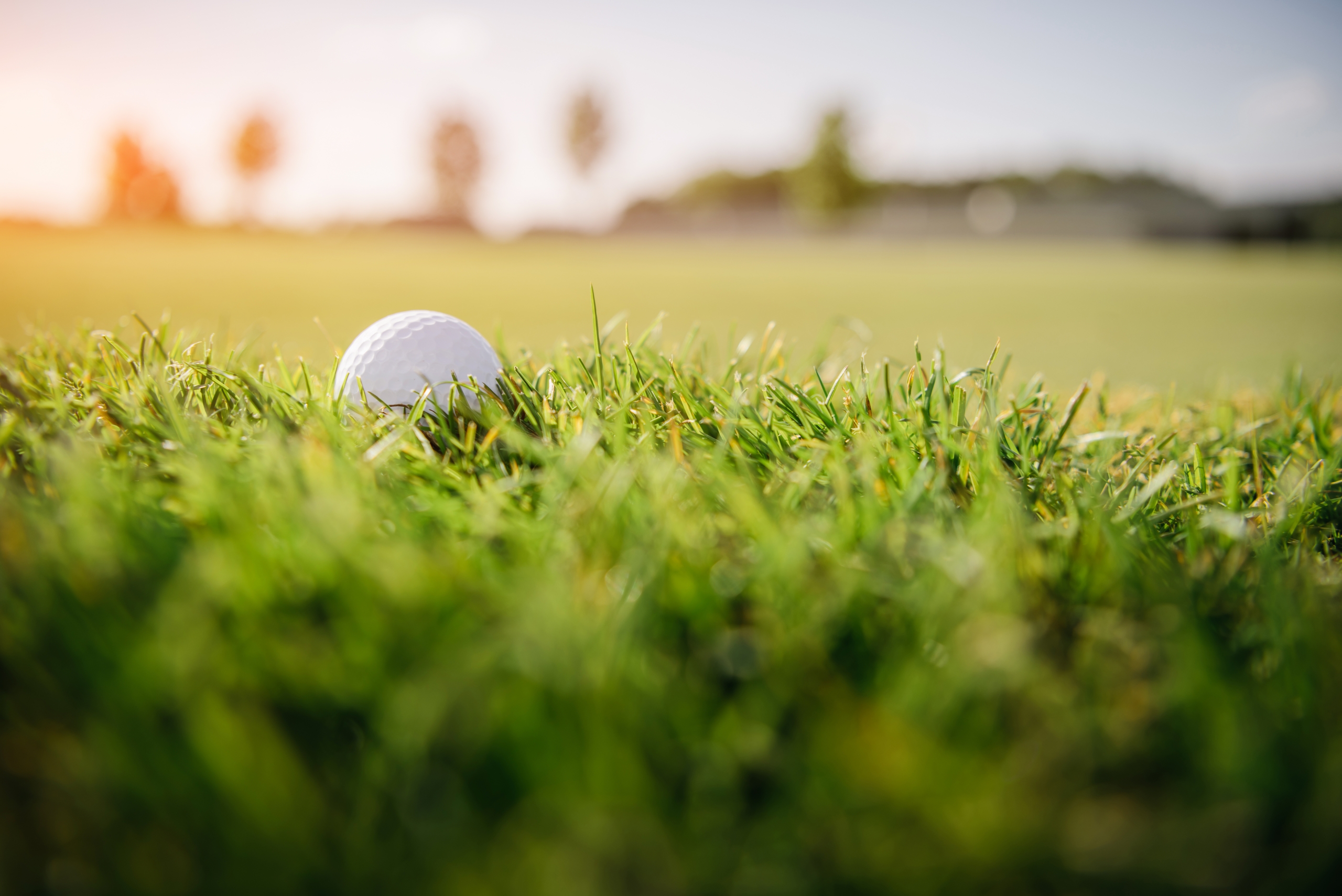 Un tournoi de golf permet d’amasser 85 000 $ pour le Complexe le partage