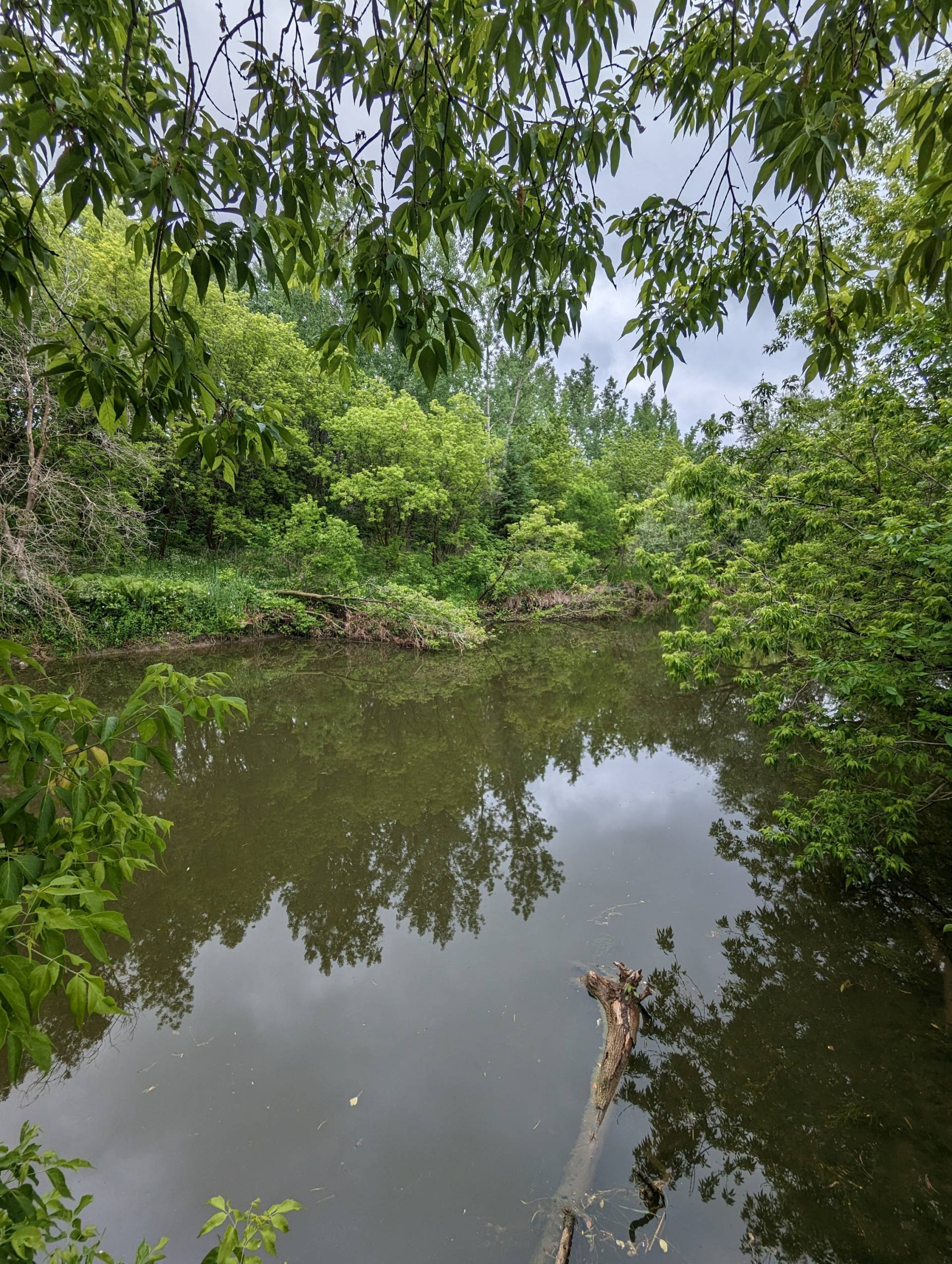 Rivière de la Tortue : navigation motorisée interdite par Pêches et Océans Canada