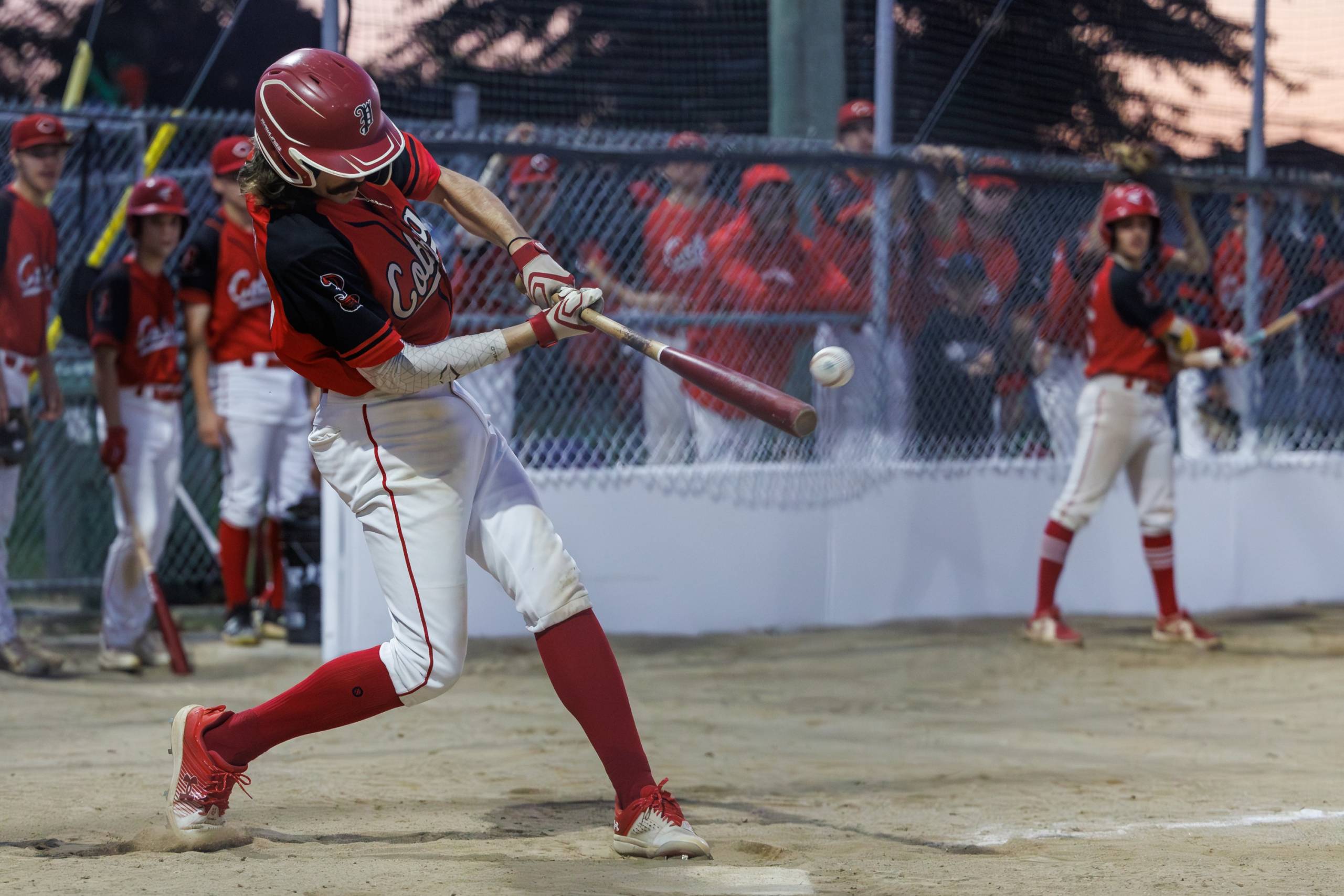 Baseball : les Cobras du Roussillon remportent leur 12e titre