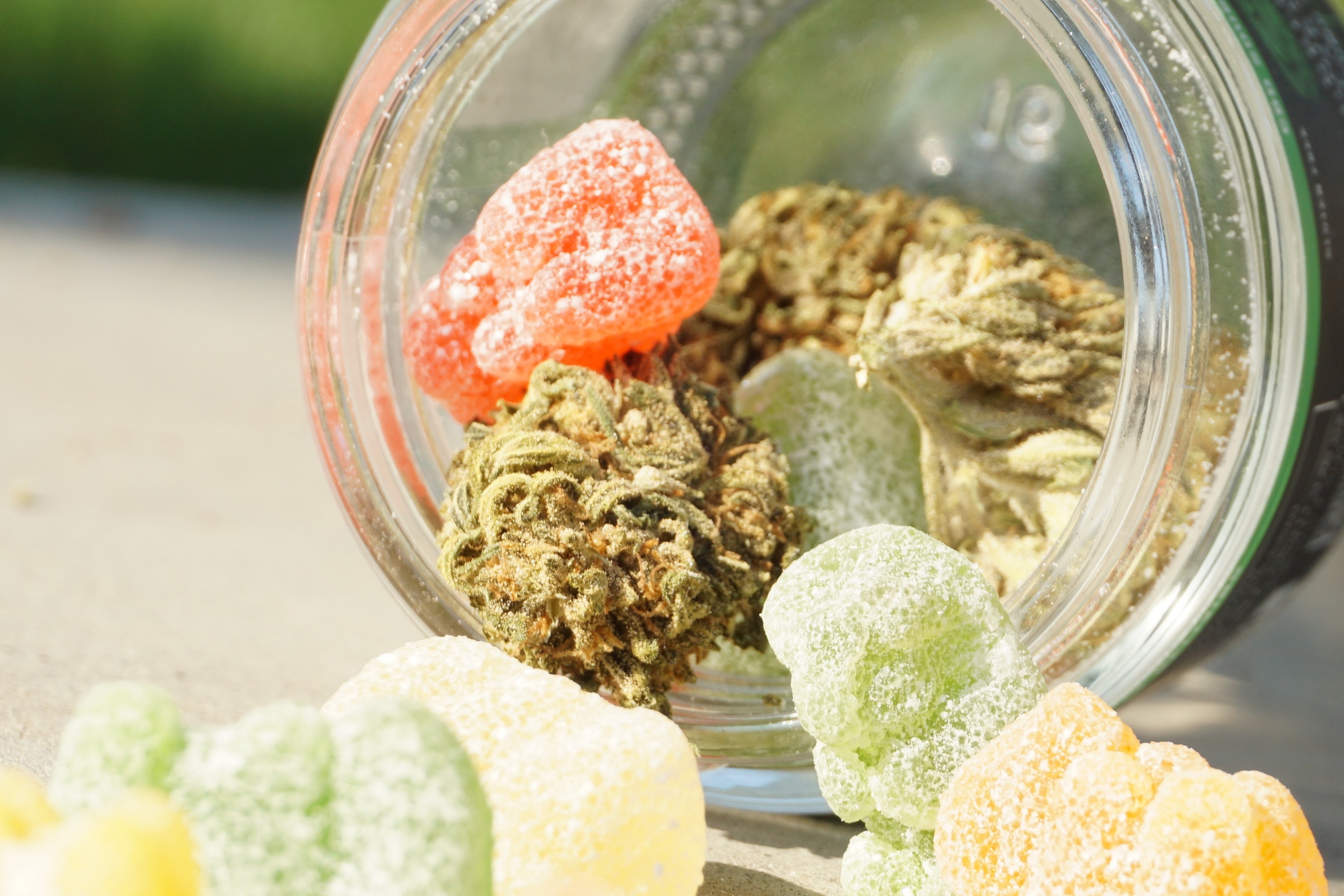 Cannabis : une trop grande diversification pour le comité de vigilance