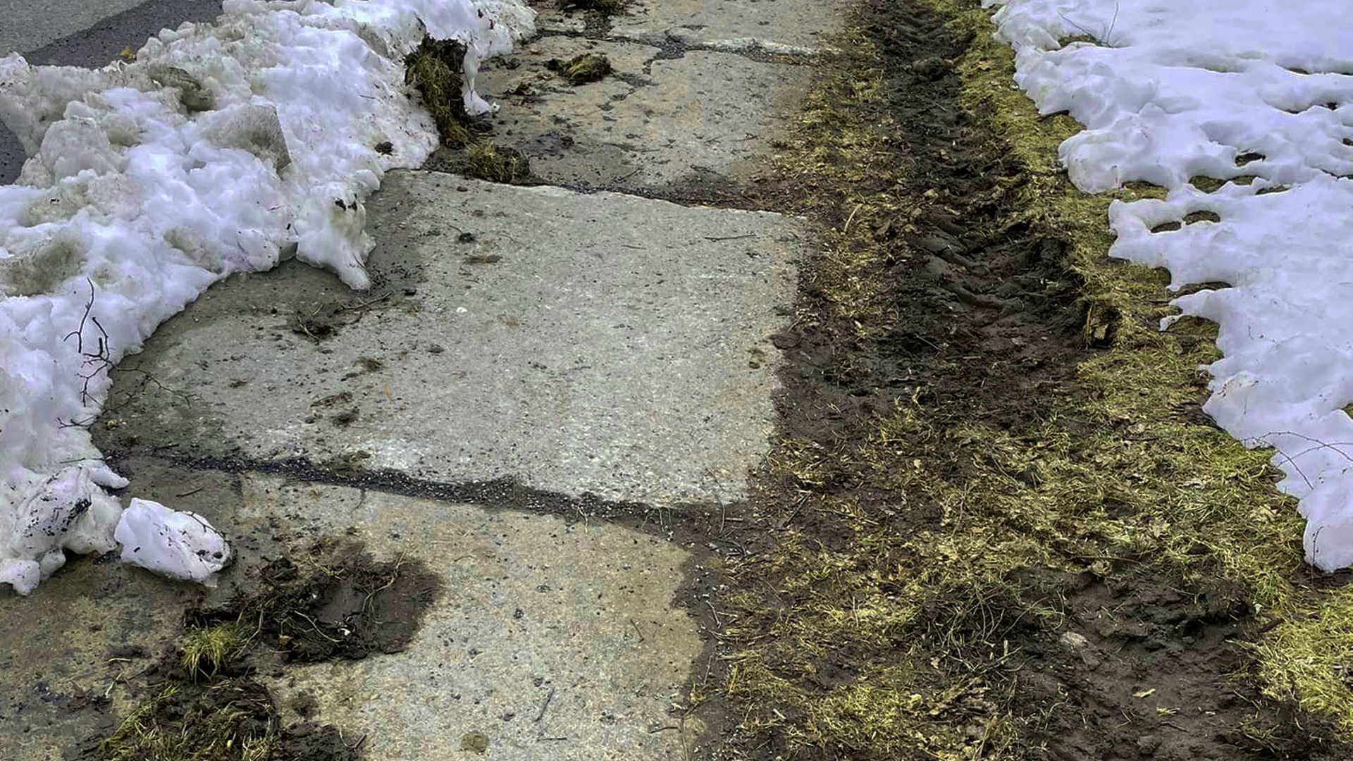 Gazon endommagé lors du déneigement : Saint-Lambert fera des réparations