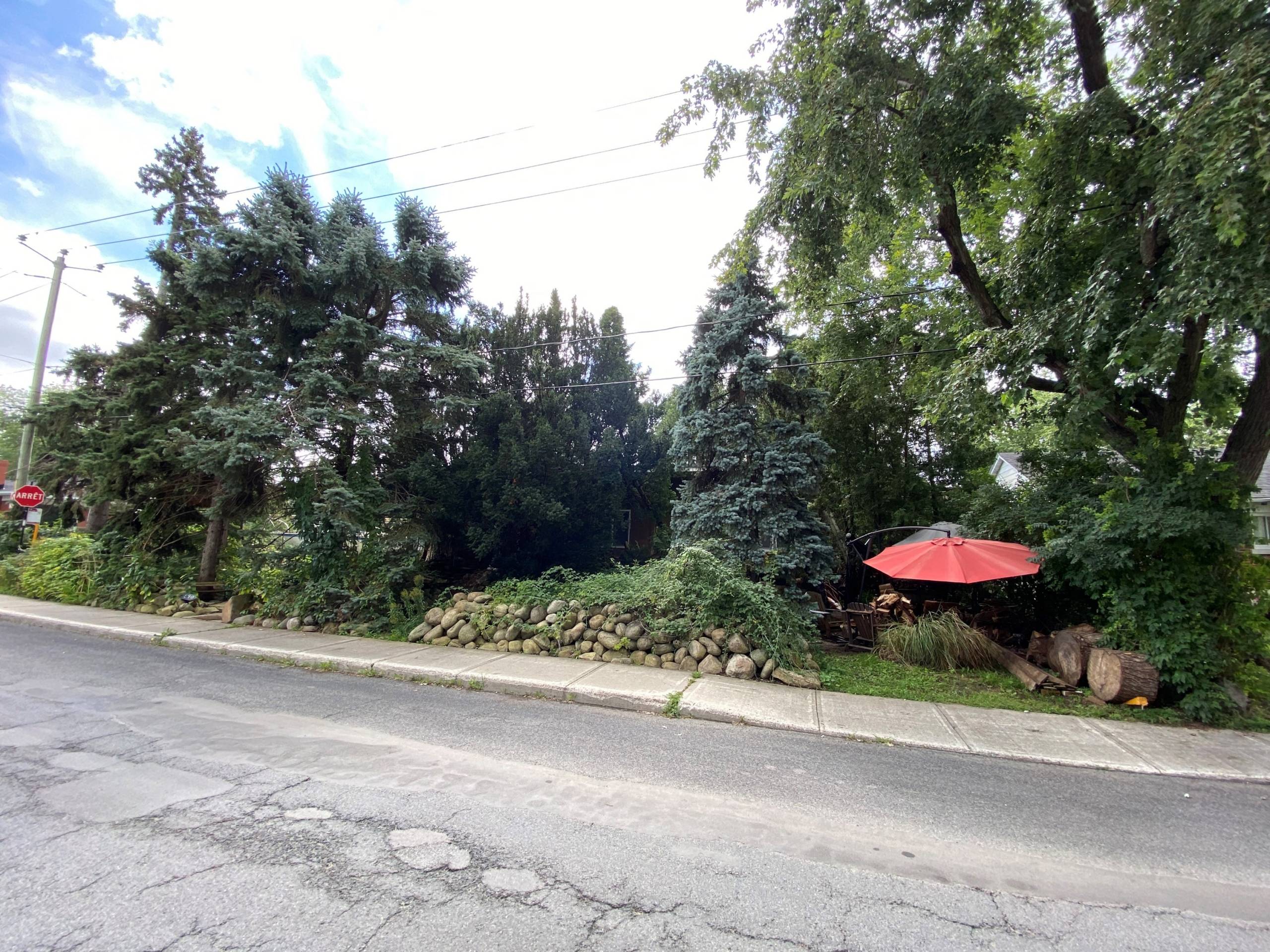 PHOTOS et VIDÉO – Un boisé sur boulevard Quinn