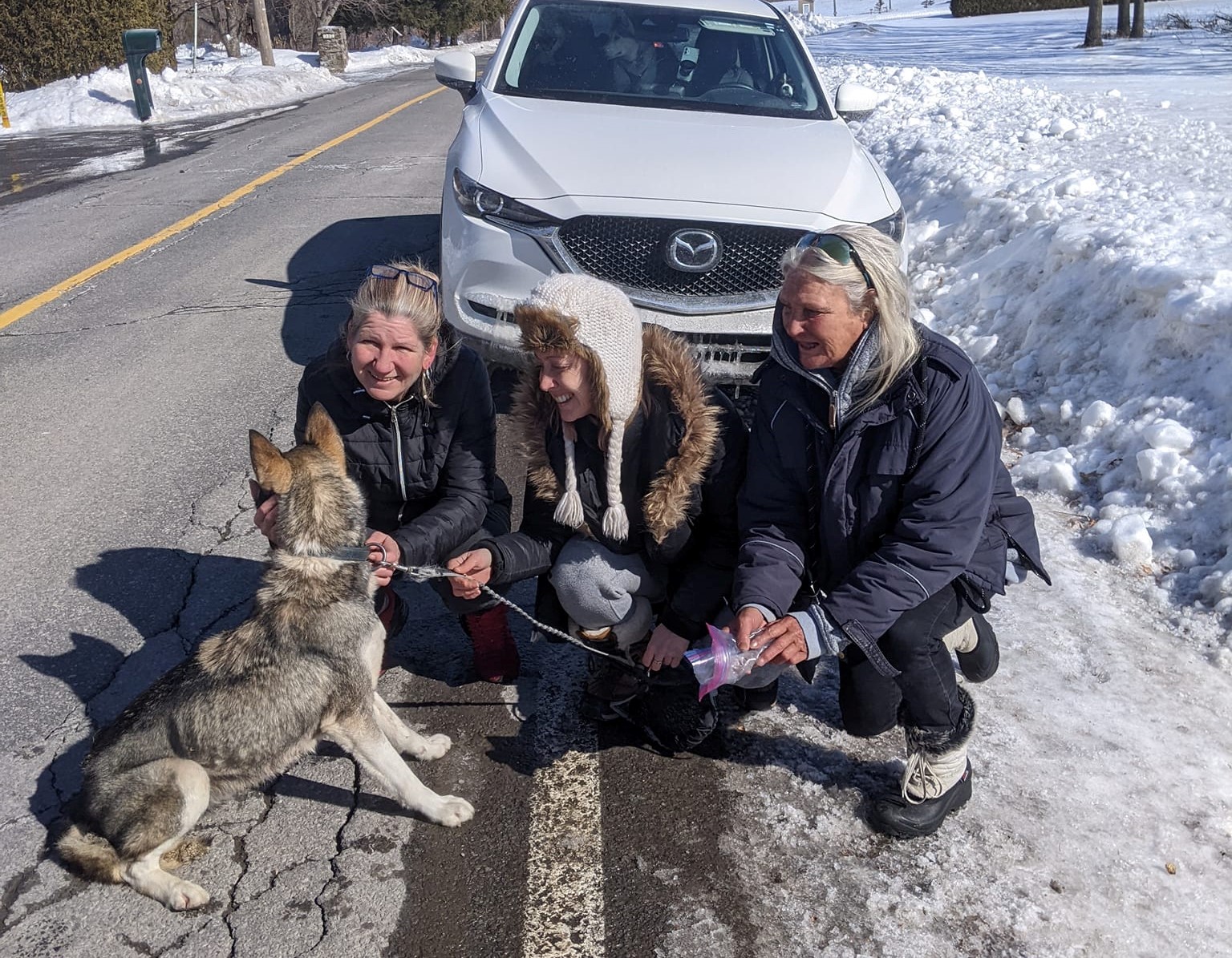 VIDÉO – La police et de bonnes Samaritaines rattrapent un chien en fuite