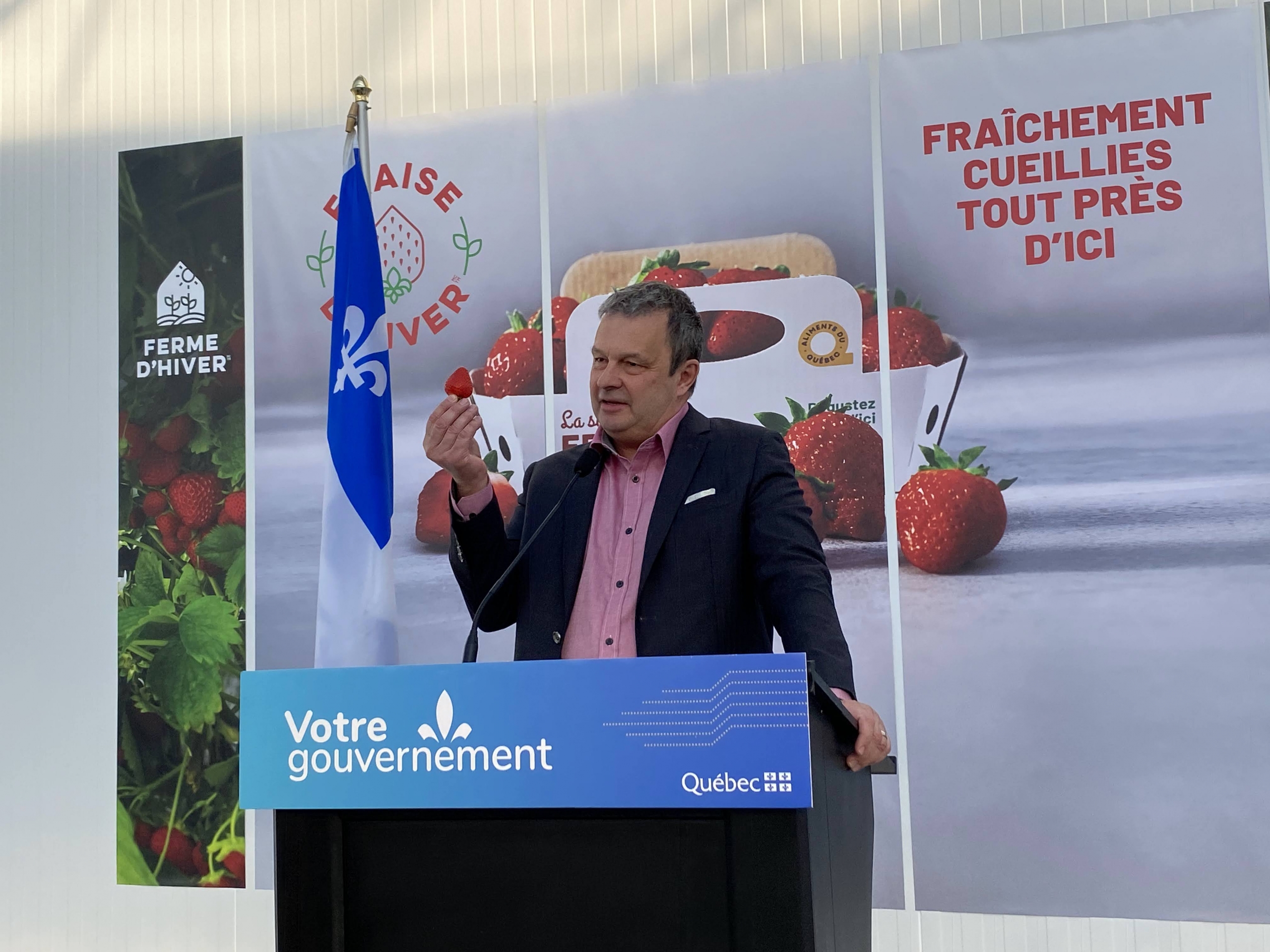 VIDÉO – Ferme d’Hiver pourra quadrupler sa production de fraises qui poussent à l’année