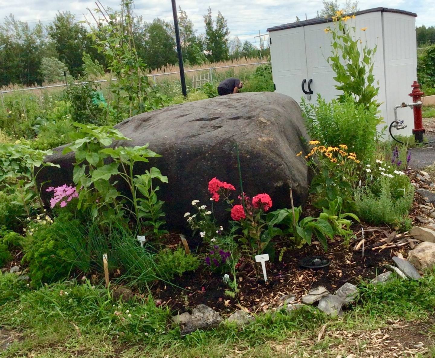 La Prairie: la biodiversité d’un jardin communautaire soulignée