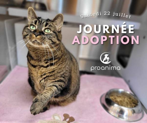 Journée d&rsquo;adoption à don volontaire pour contrer la surcharge
