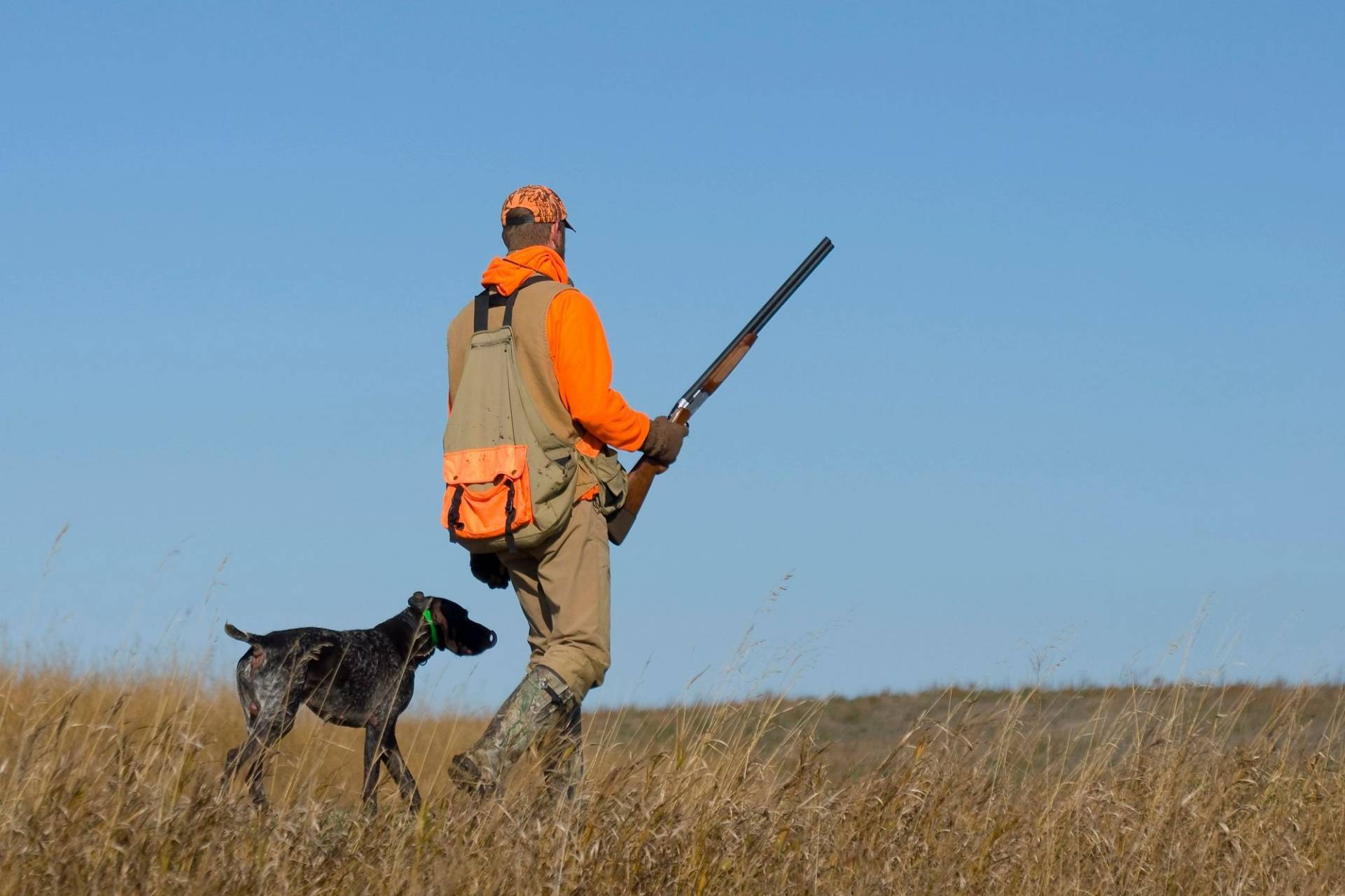 Les équipements indispensables pour les chasseurs débutants