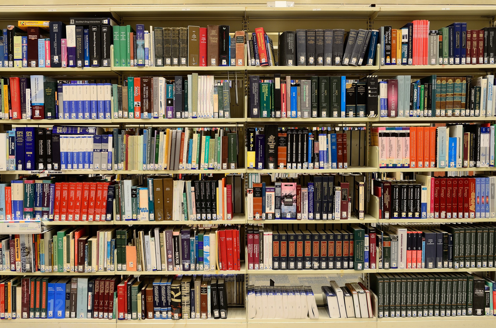 Saint-Constant mettra en vente plus de 10 000 livres, films et autres