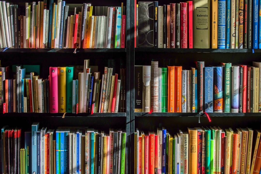 Lancement de livre et œuvres à découvrir !