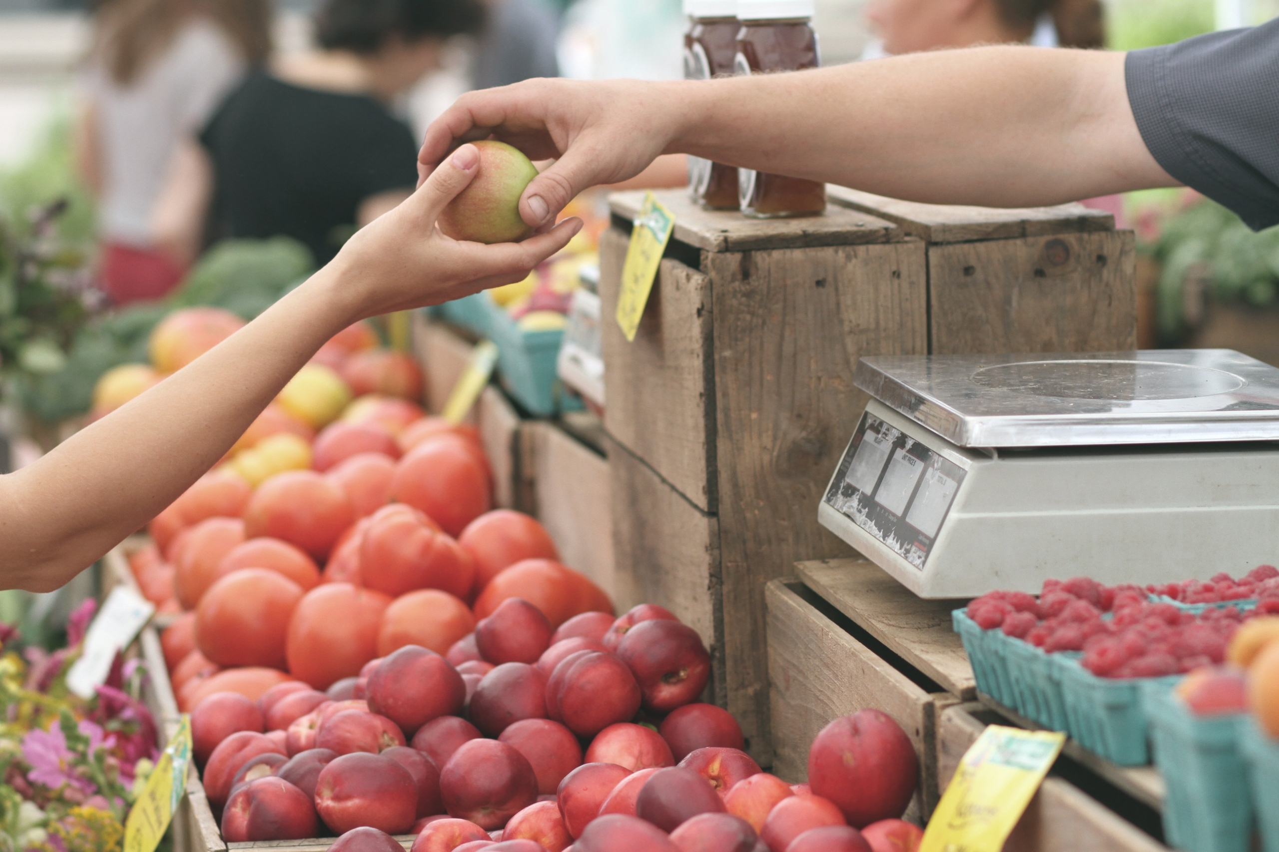 Savourer et rencontrer dans les marchés publics du Québec