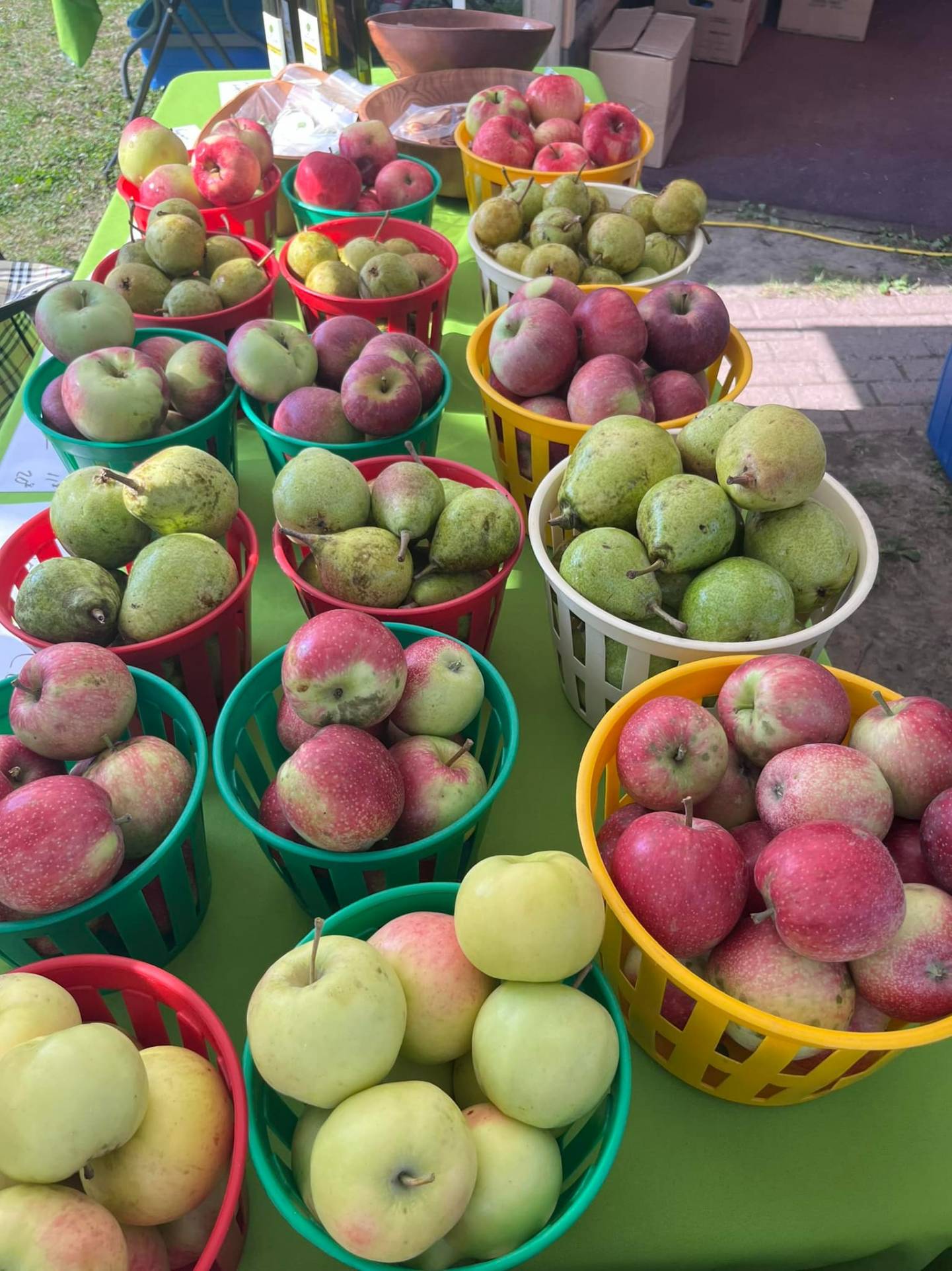 Été ardu : le Marché bio-local de Candiac écourte sa saison