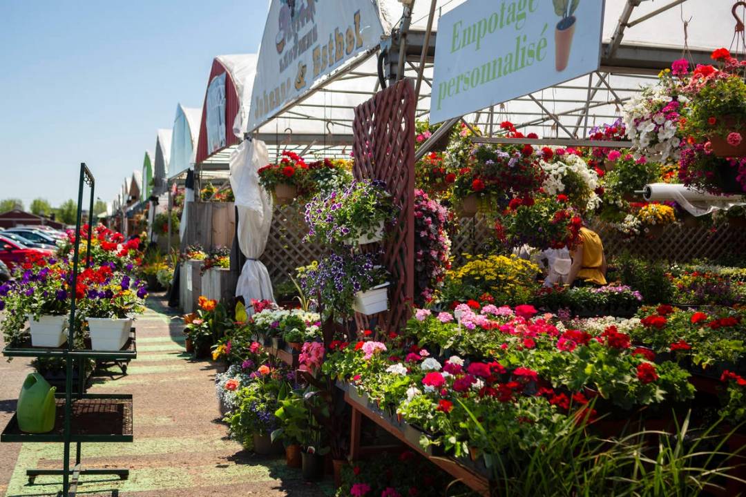 Un esprit de famille anime le Marché des jardiniers