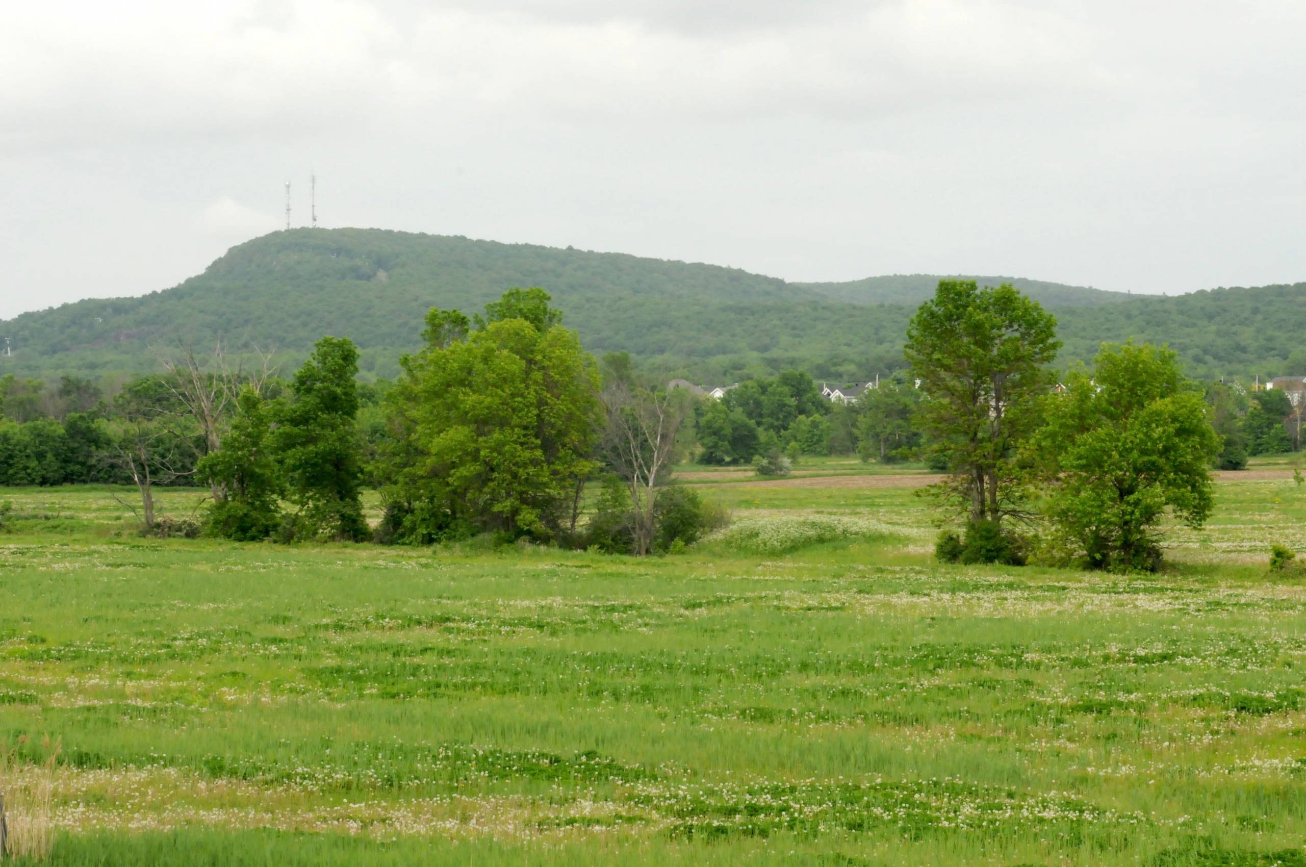 Des organismes présentent des plans de conservation des collines montérégiennes