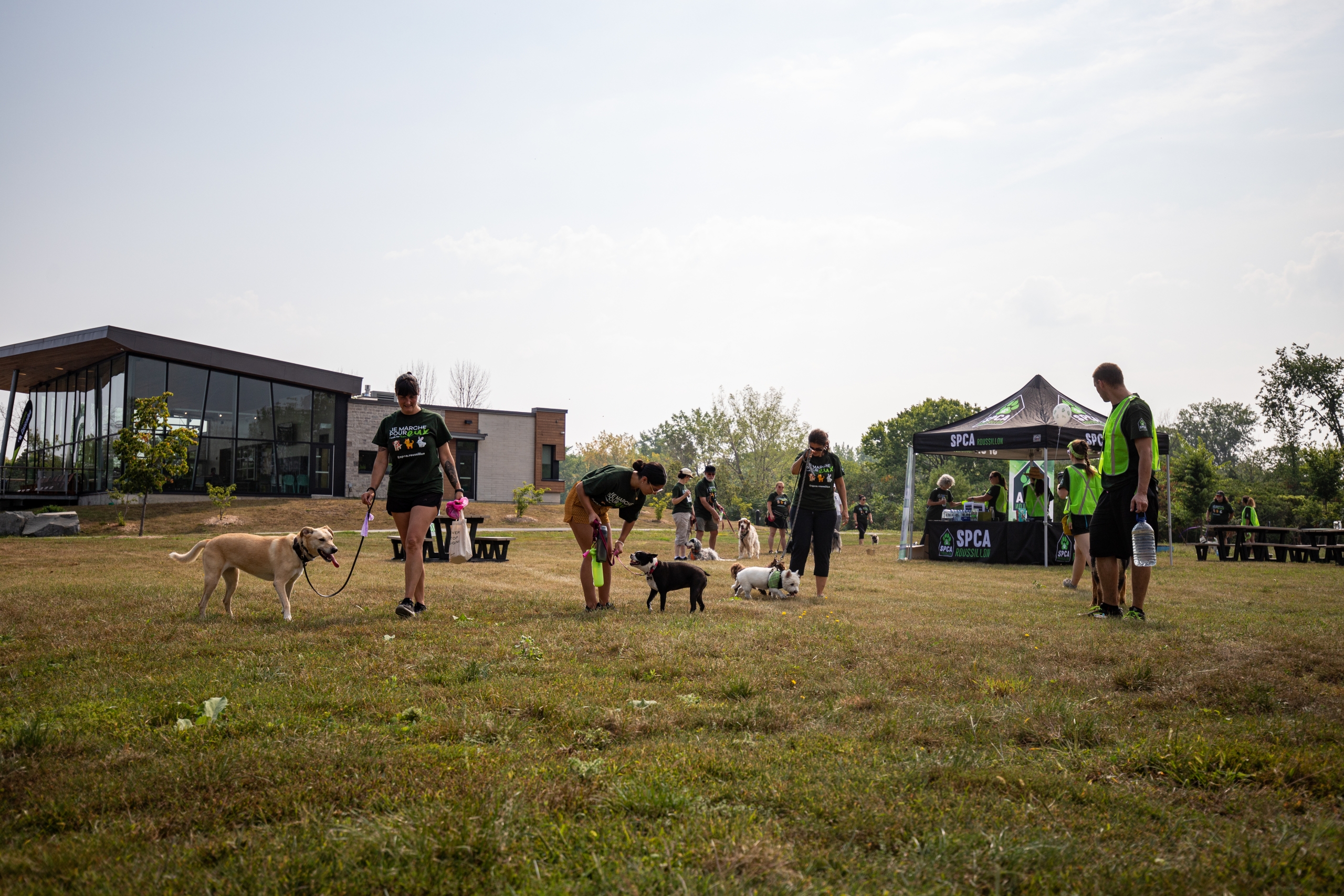 Le Club de marche de la SPCA Roussillon de retour