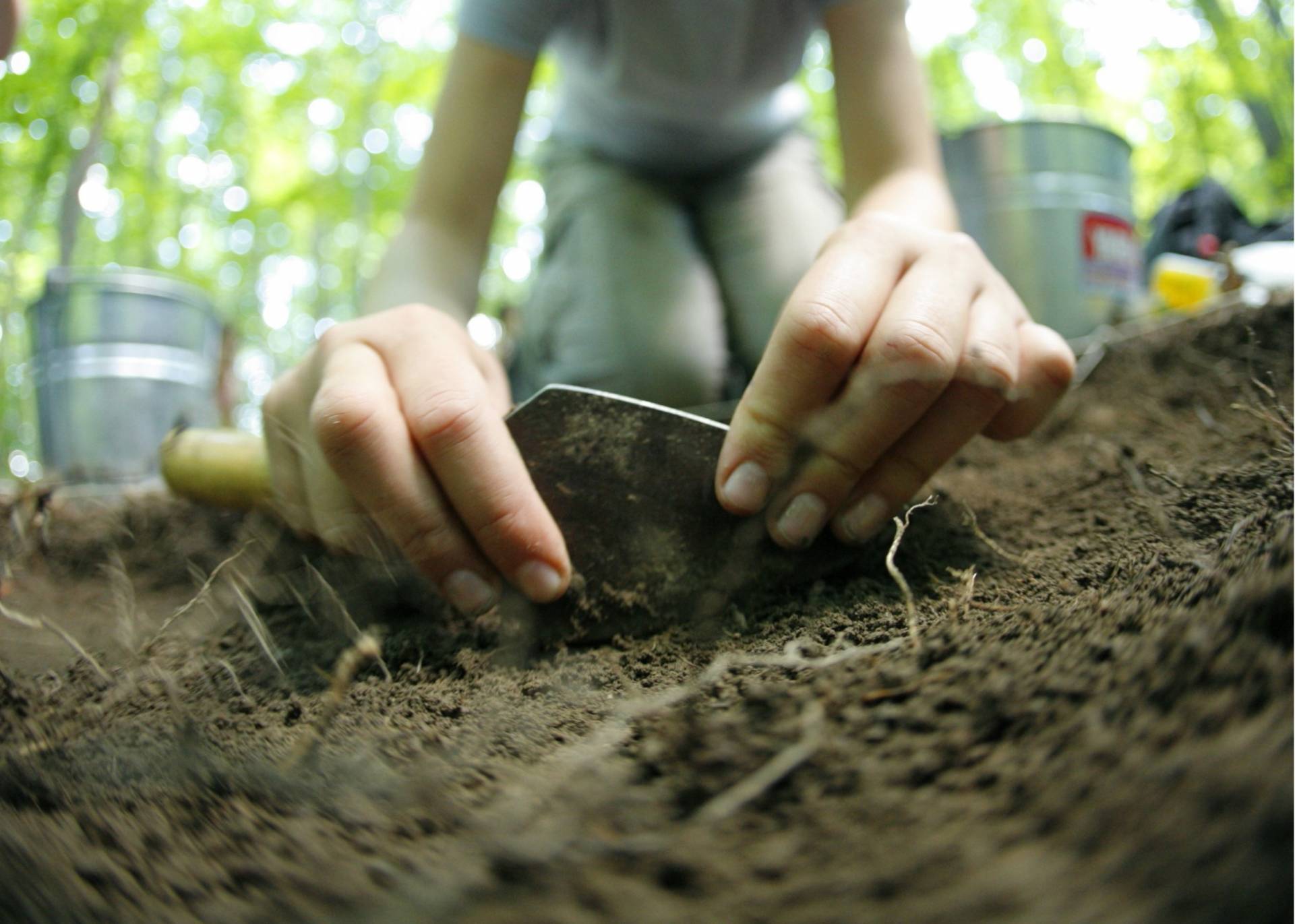 L’archéologie au cœur de Pointe-du-Buisson