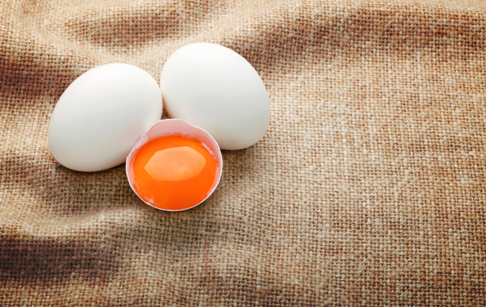 7 faits intéressants sur les oeufs