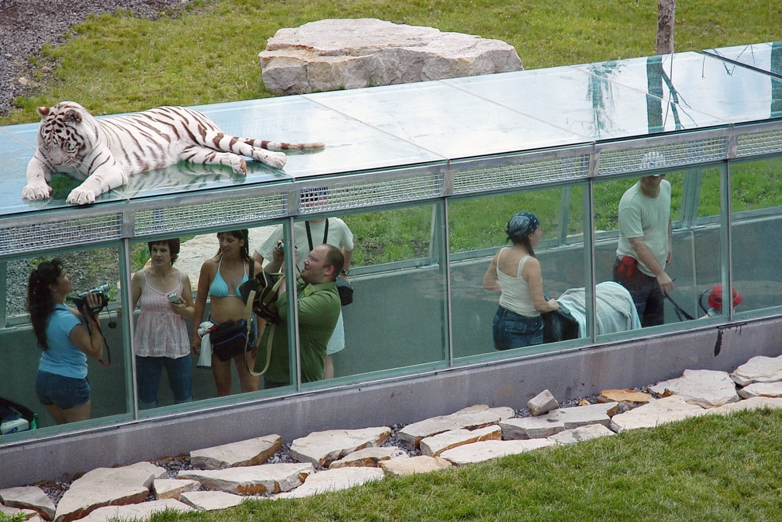 Une année satisfaisante pour le Parc Safari
