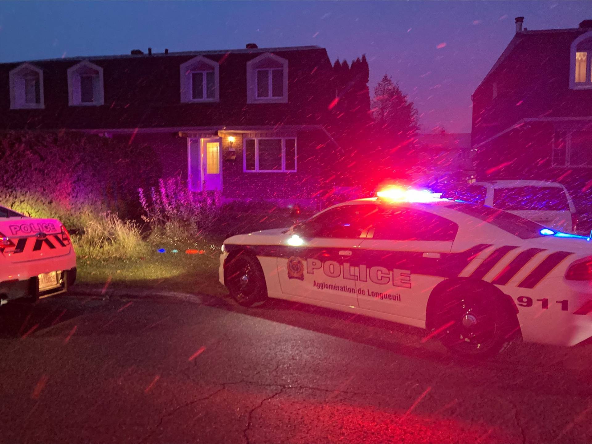 Drogues, arme et argent saisis par le SPAL