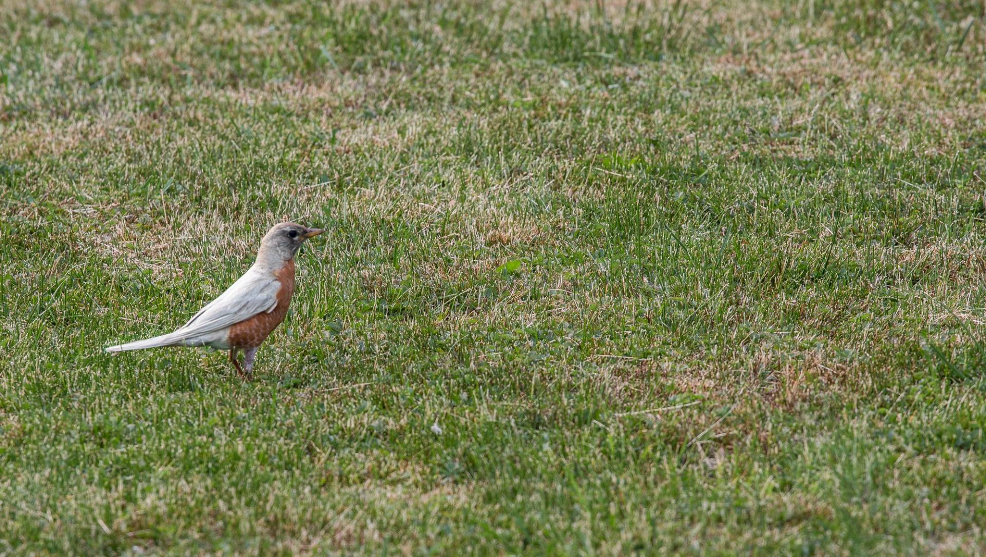 Photo de la semaine : une rareté