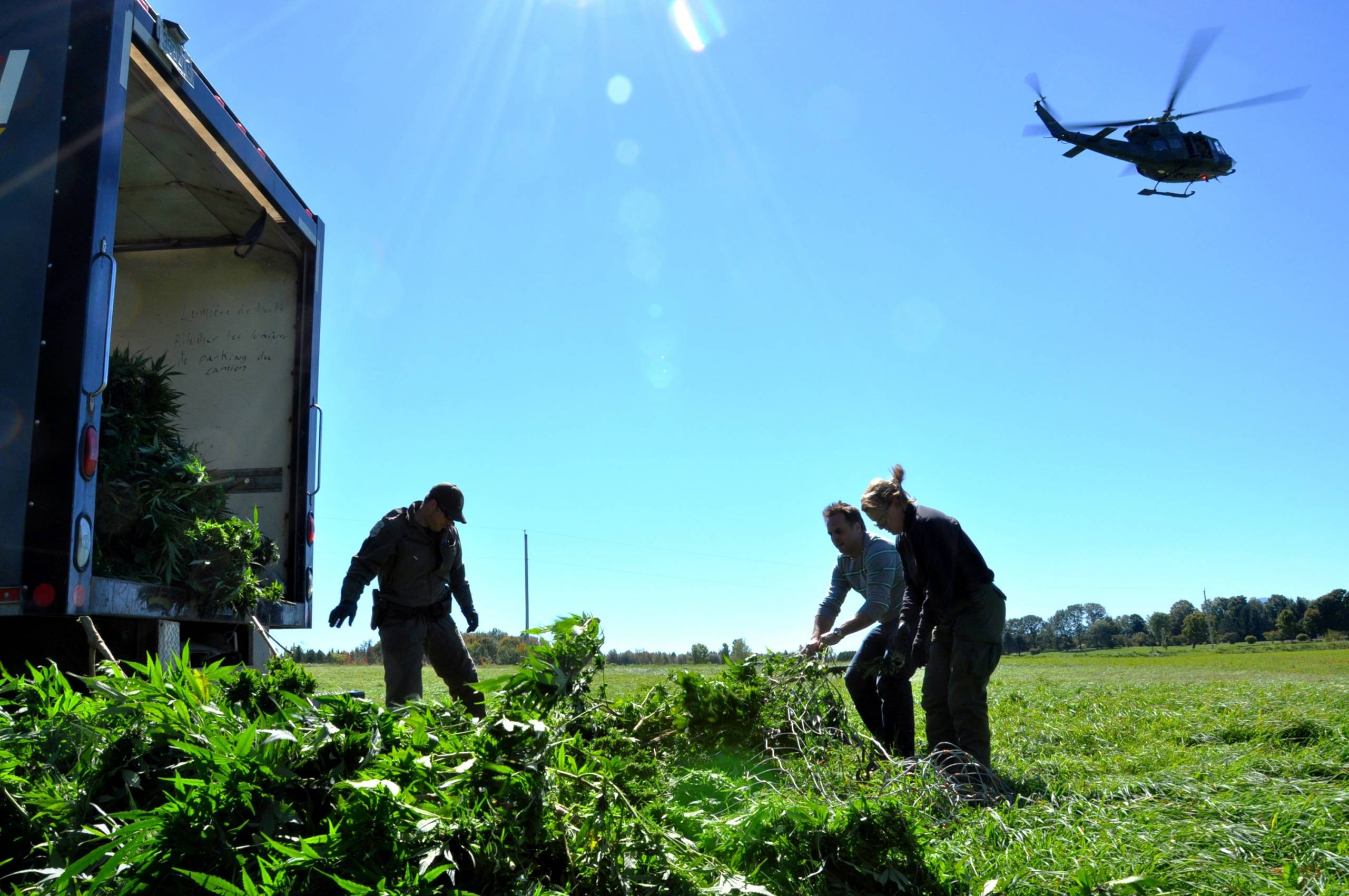 La police garde l&rsquo;oeil sur les plantations de cannabis extérieures