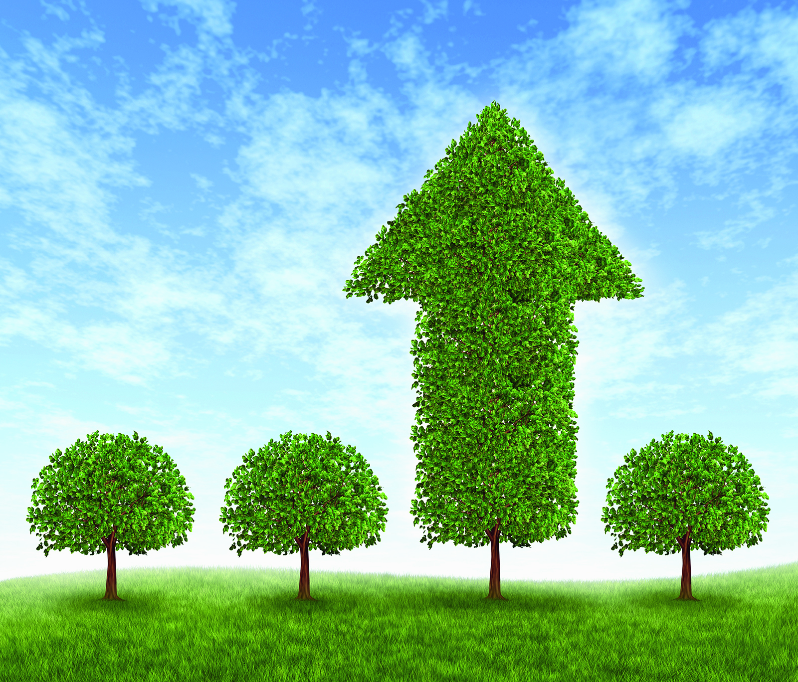 Investissements écoresponsables :  verdissez votre portefeuille!