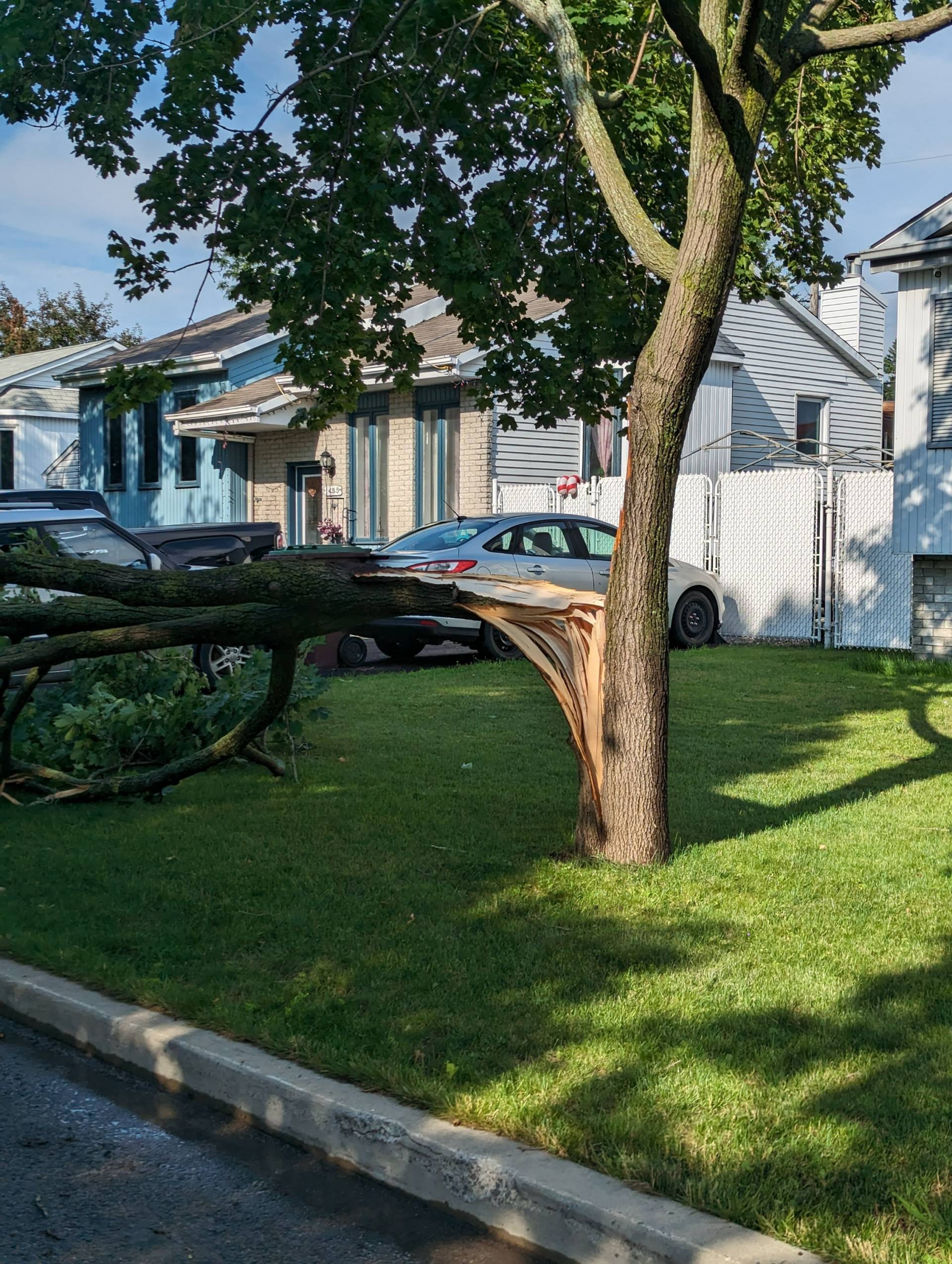 Orage en juillet à Sainte-Catherine : les dommages aux arbres coûtent 20 000 $ de réparation