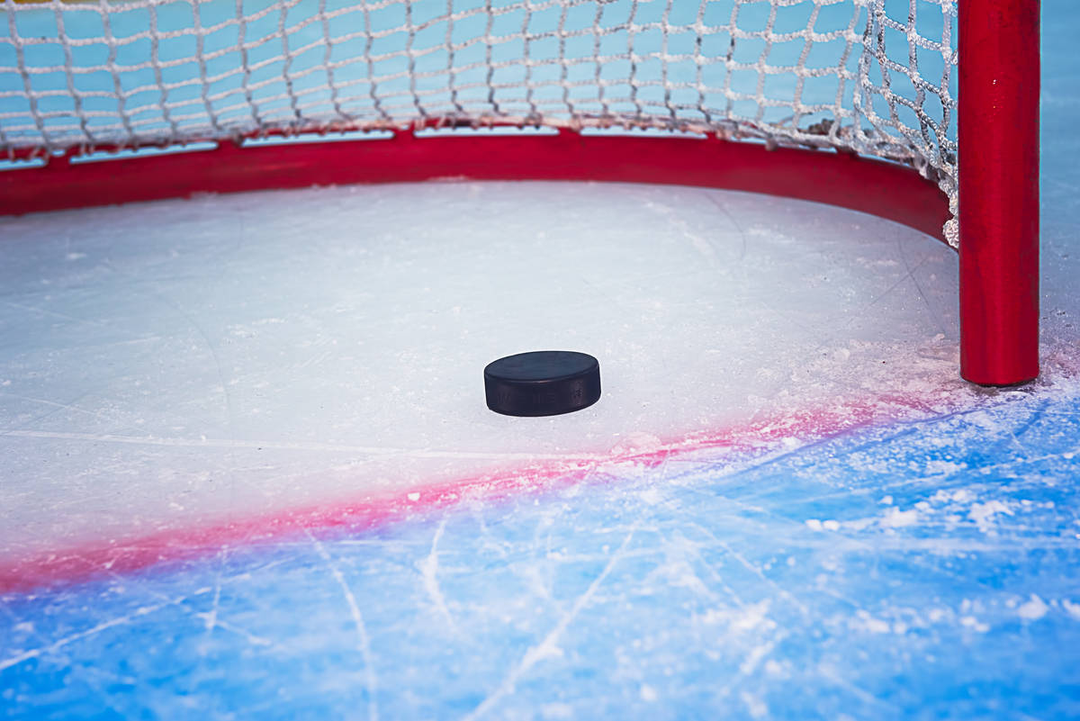 Une dizaine d&rsquo;hockeyeurs du Collège Charles-Lemoyne choisis dans la LHJMQ