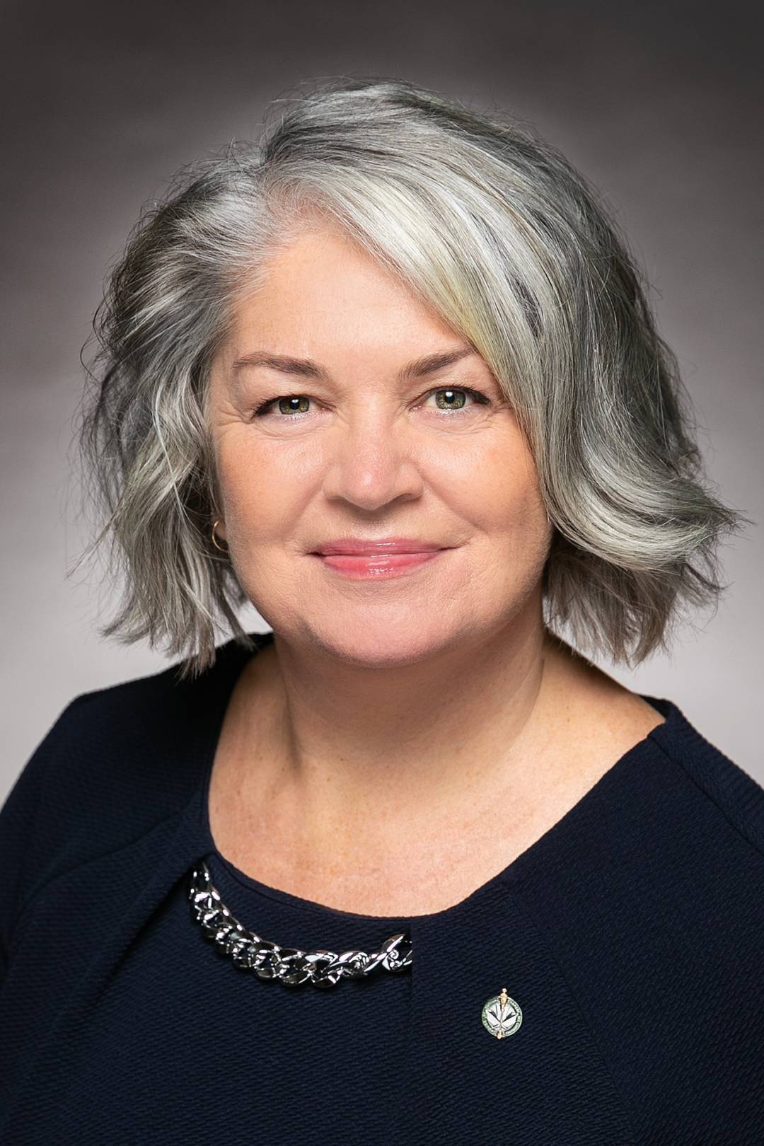 Sept projets communautaires reçoivent plus de 350 000$ 