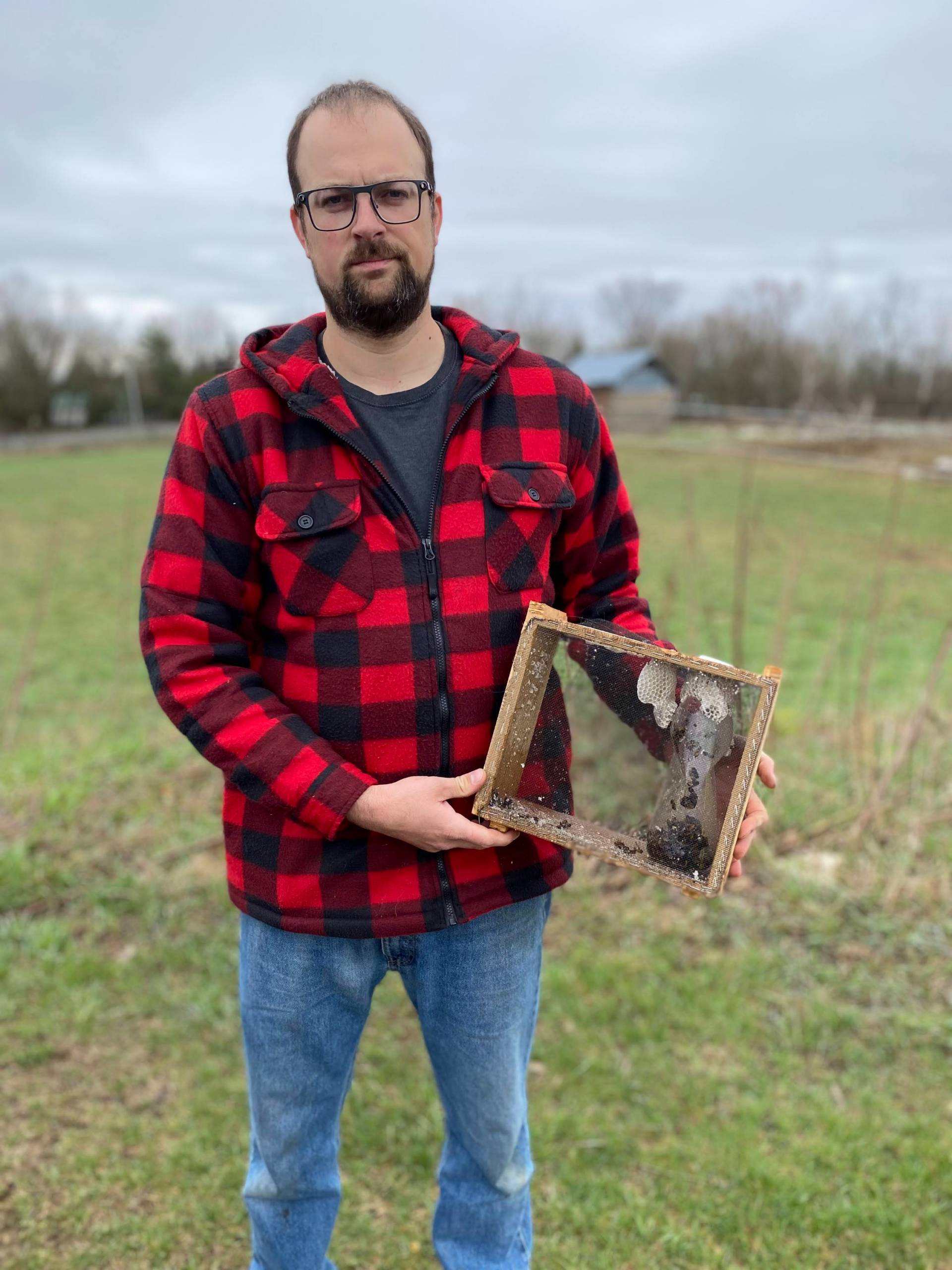 Hécatombe dans les ruches chez Les Petites Écores