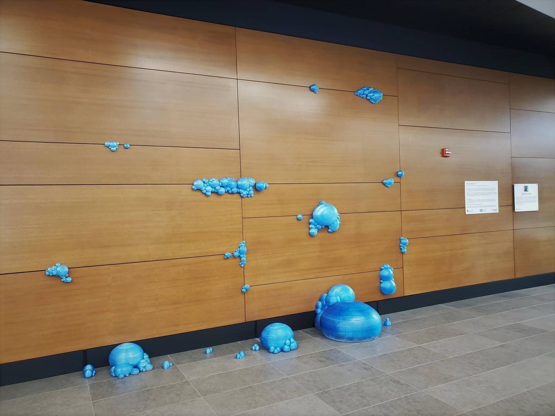 Une œuvre d’art public éphémère s’immisce au campus Longueuil de l’Université de Sherbrooke