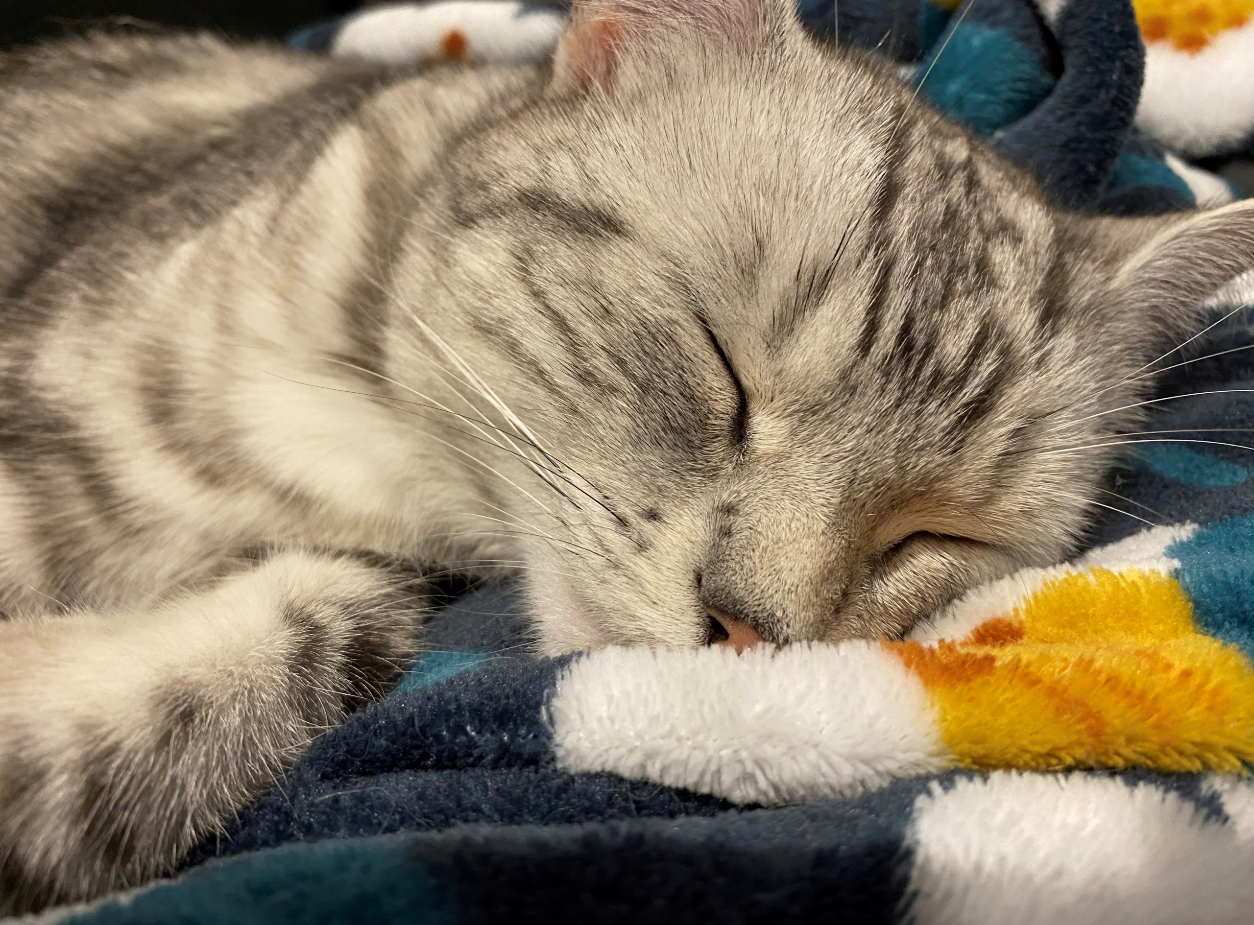 Billet d’humeur : Apprendre à aimer