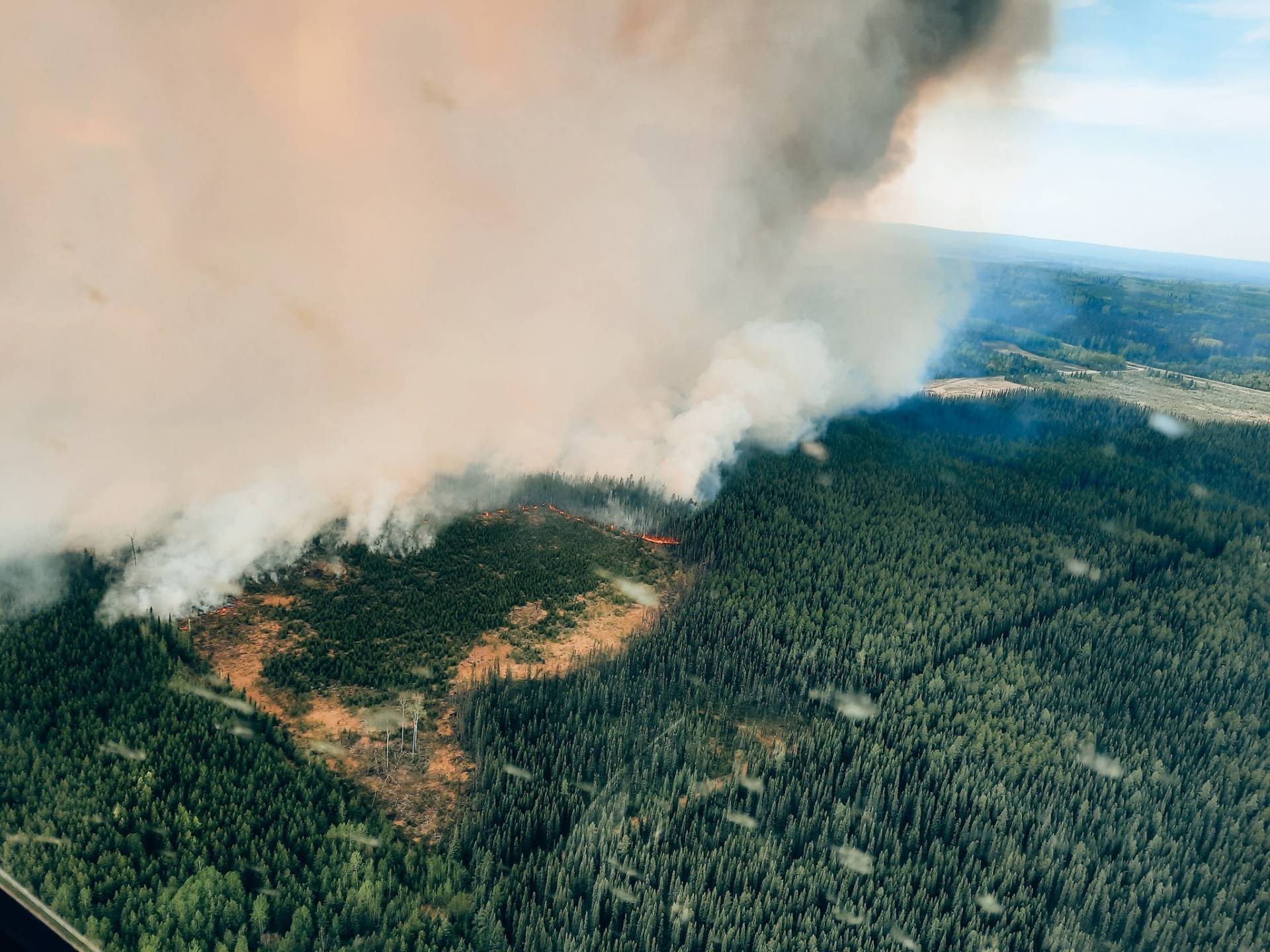Les feux de forêt affectent la qualité de l&rsquo;air jusqu&rsquo;en Montérégie