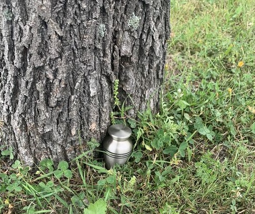 Une urne funéraire dans un parc : légal ou pas ?