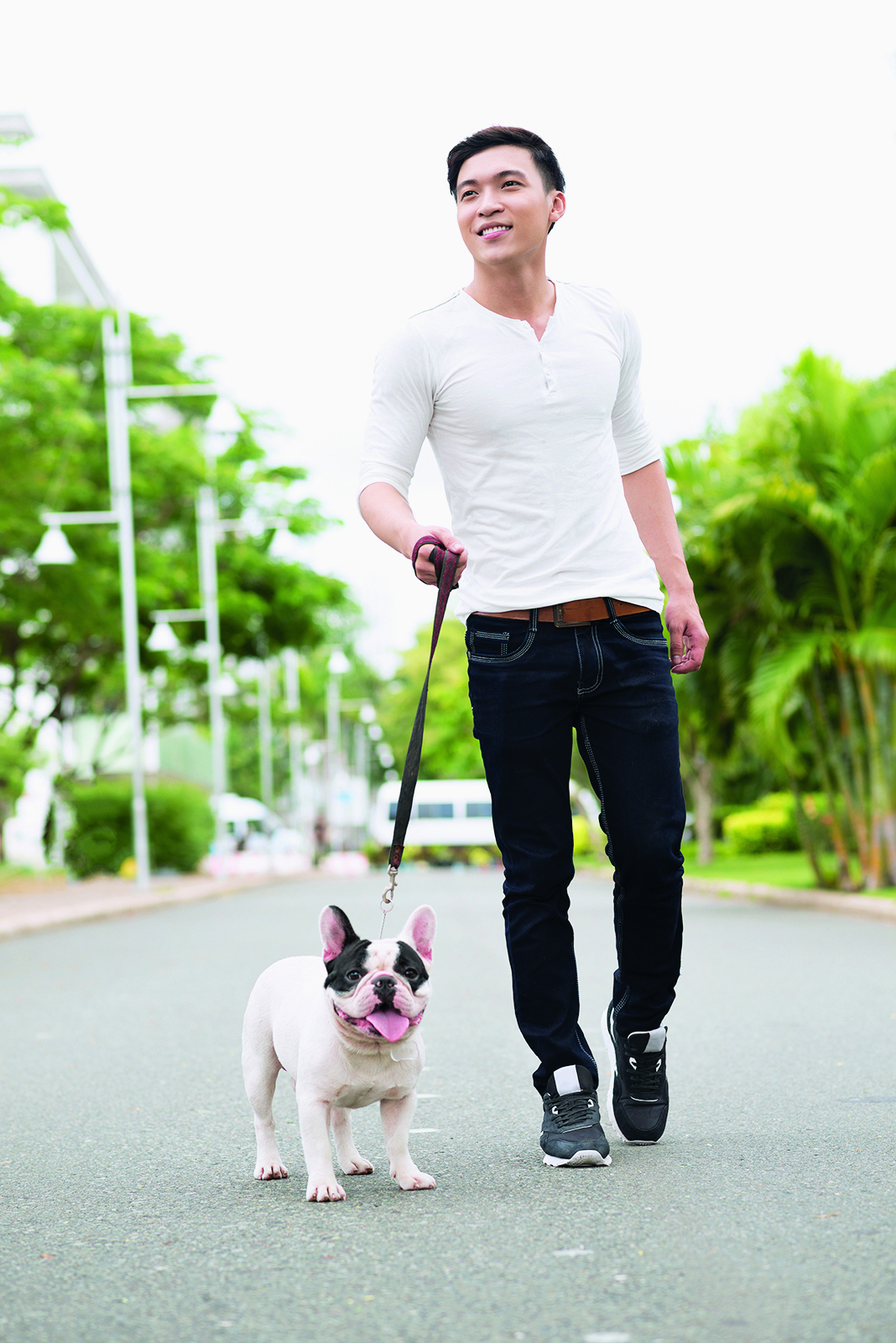 5 astuces pour prévenir le vol de votre chien