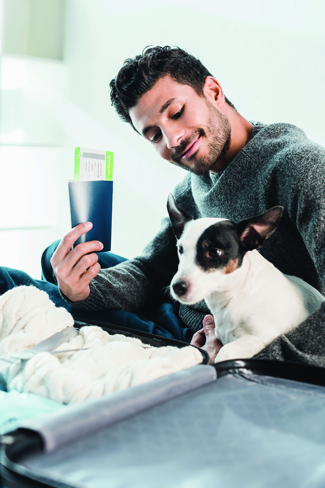 Mon animal a-t-il besoin d’un passeport pour voyager avec moi?